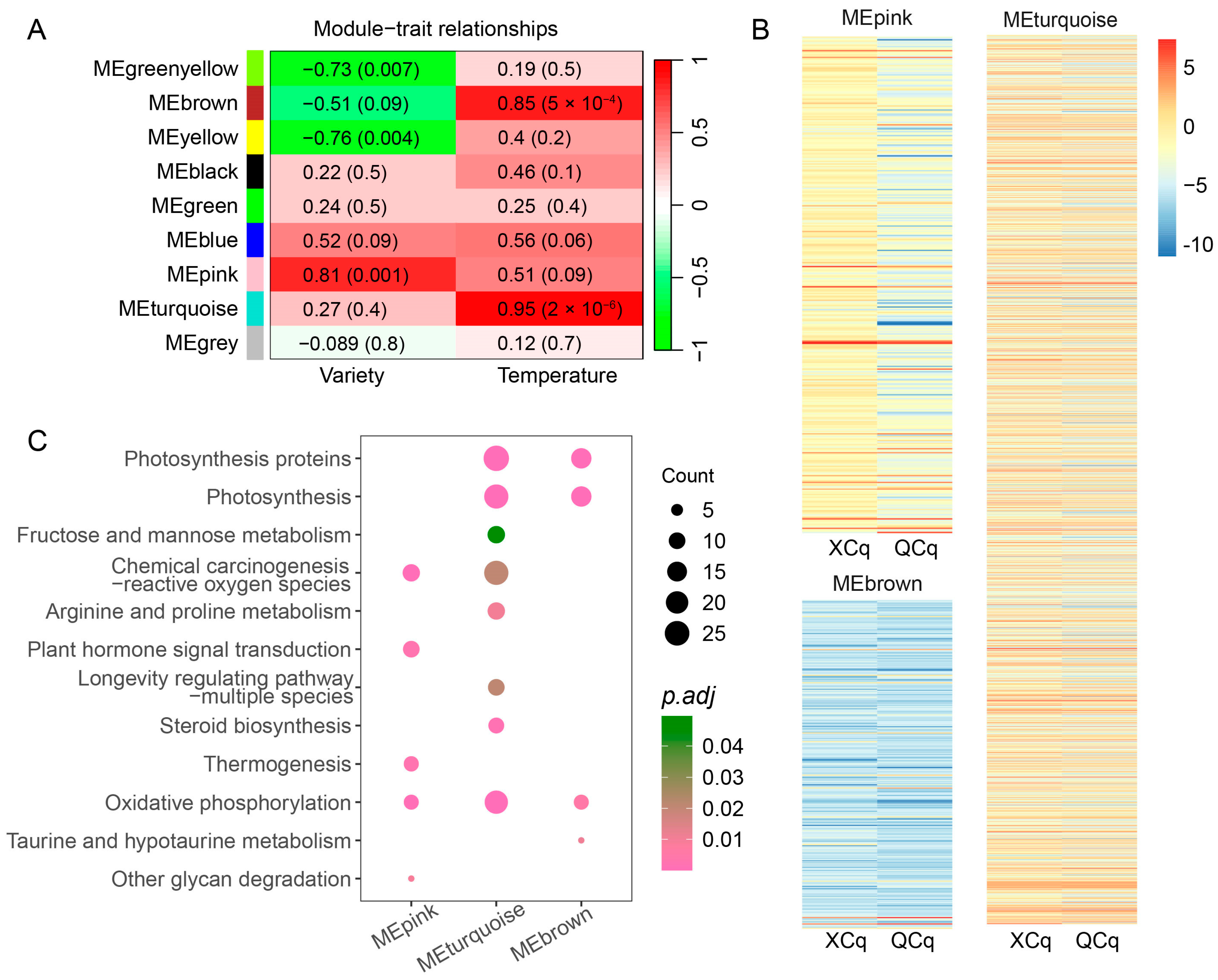 Plants 14 01212 g005