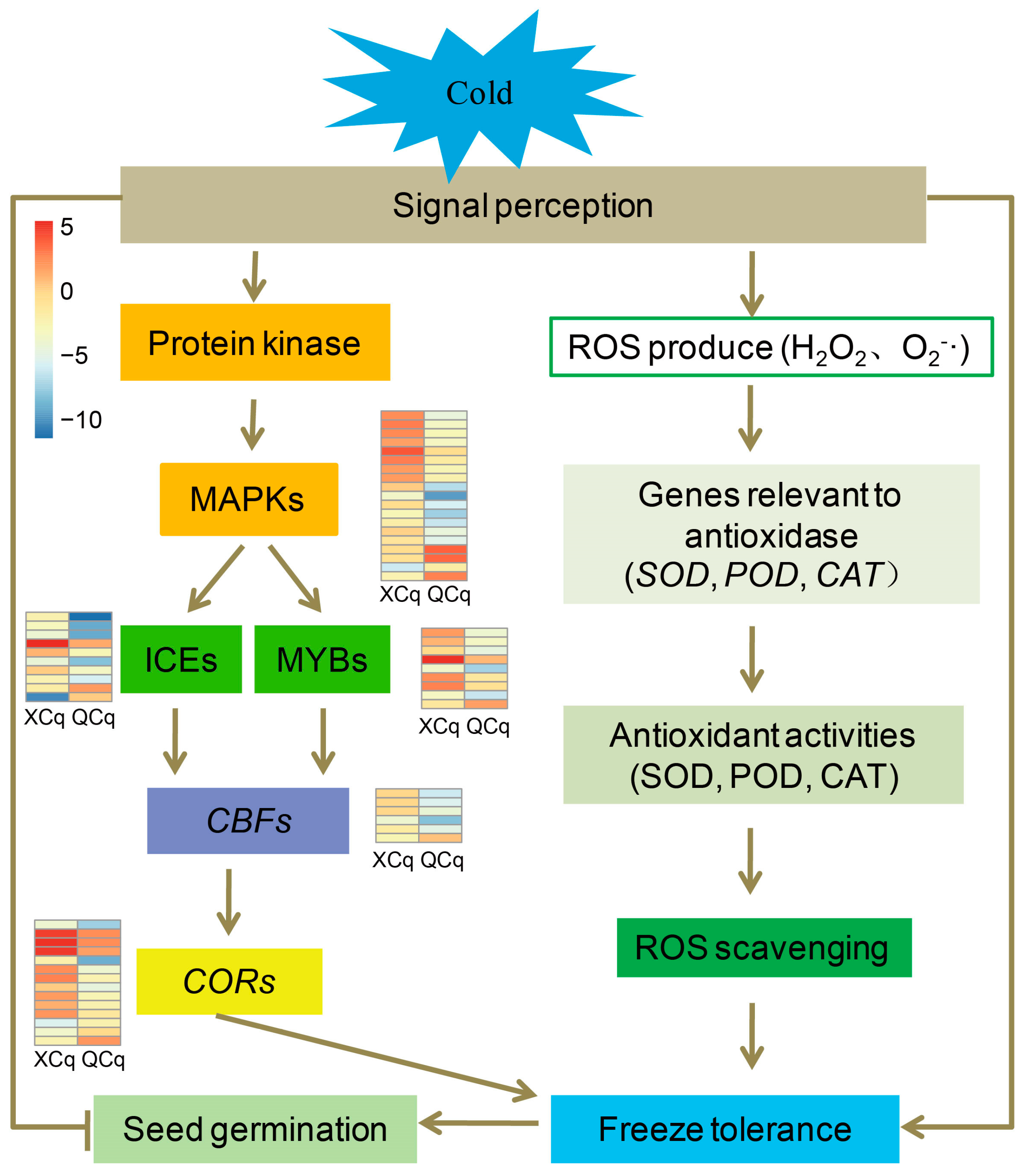 Plants 14 01212 g008