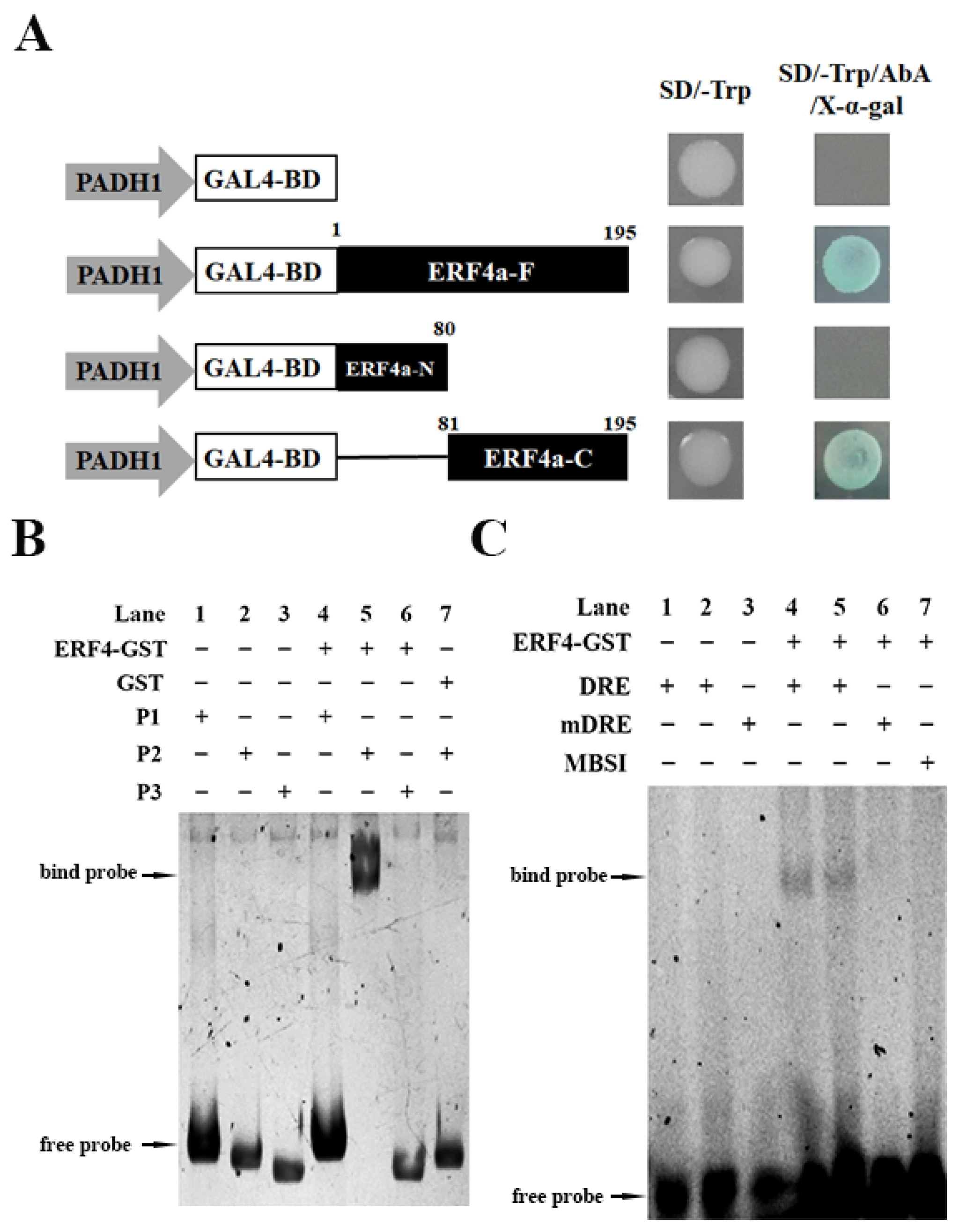 Plants 14 01214 g004