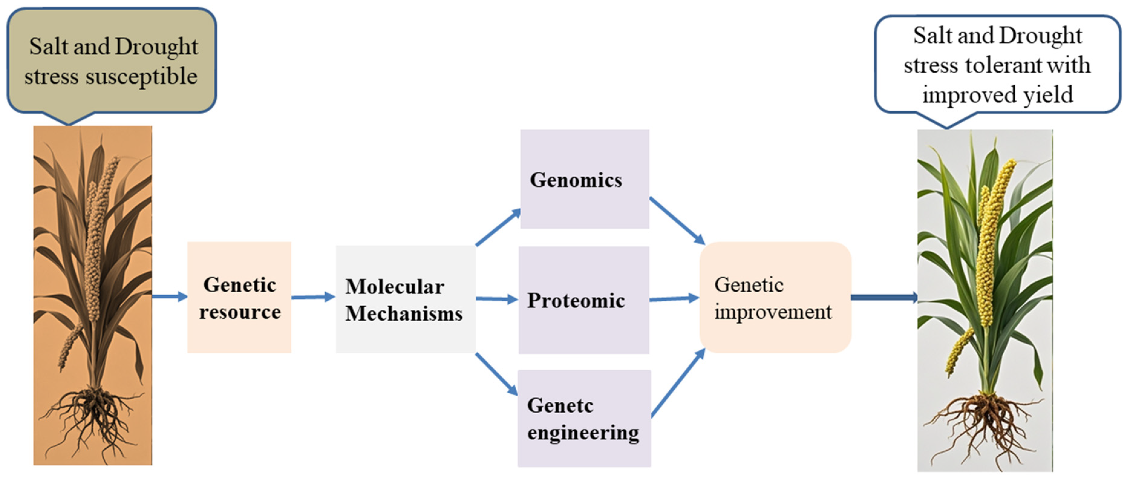 Plants 14 01215 g004