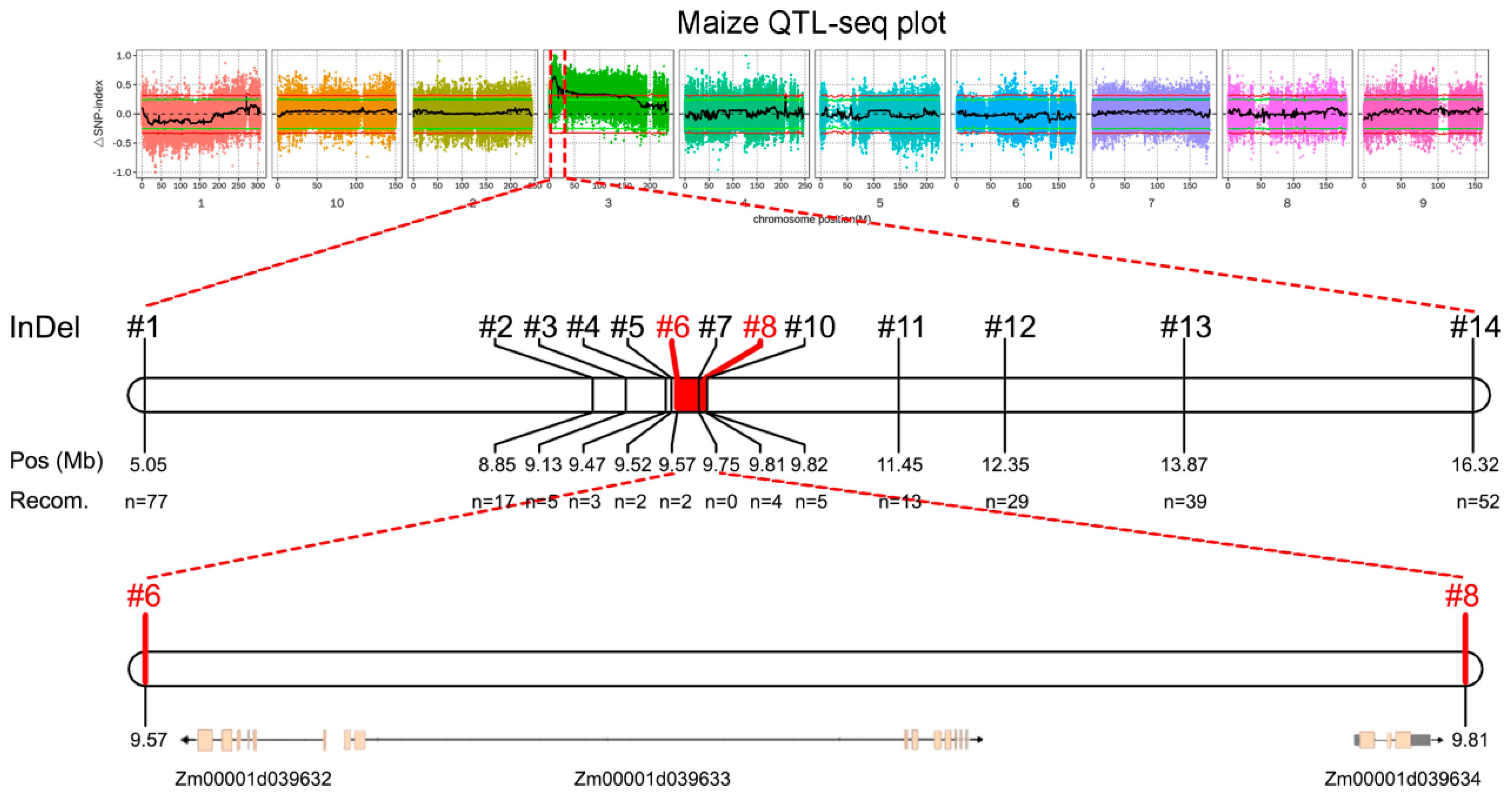 Plants 14 01217 g003