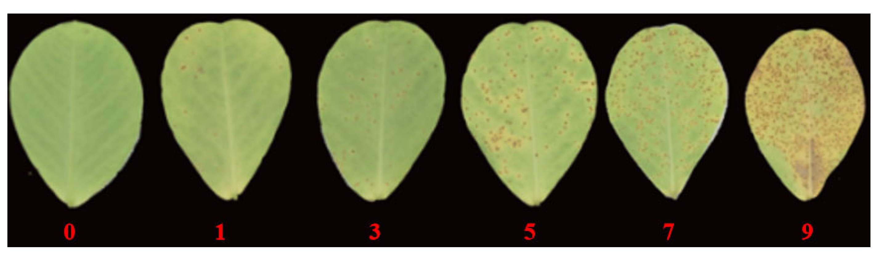 Plants 14 01219 g004