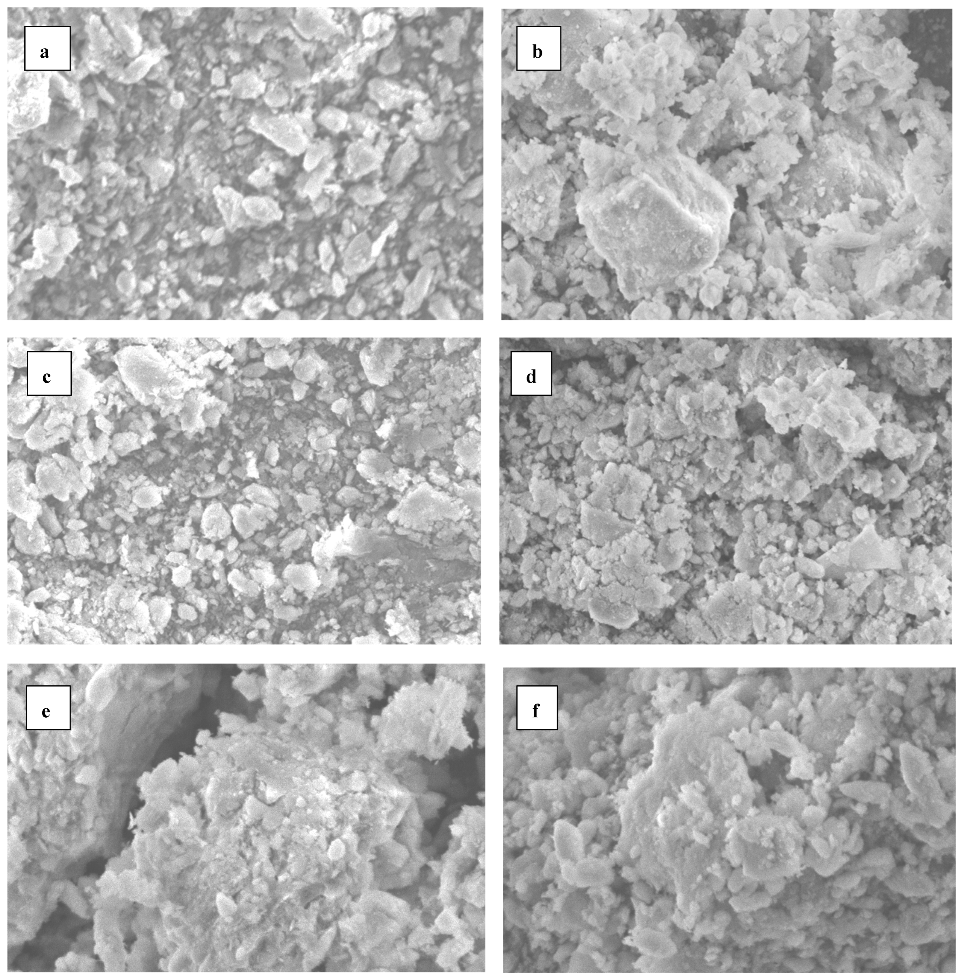 Plants 14 01224 g005