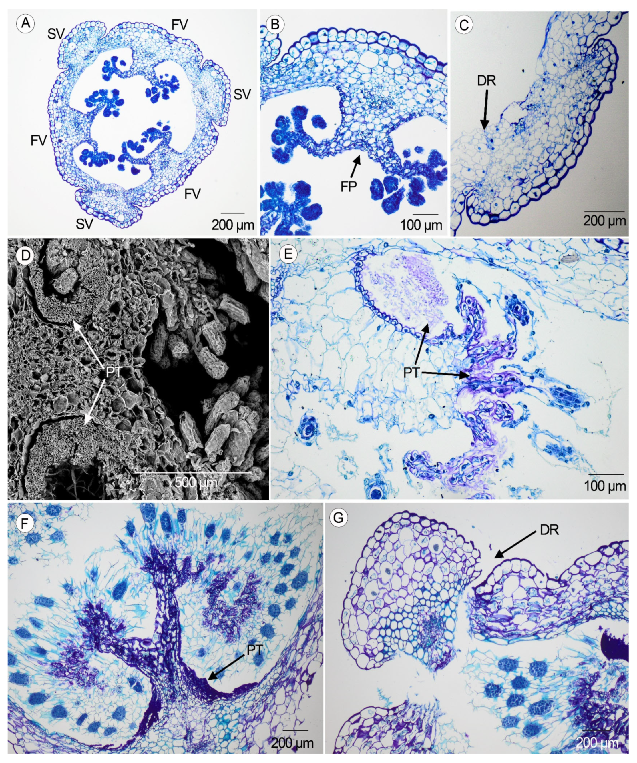 Plants 14 01229 g002