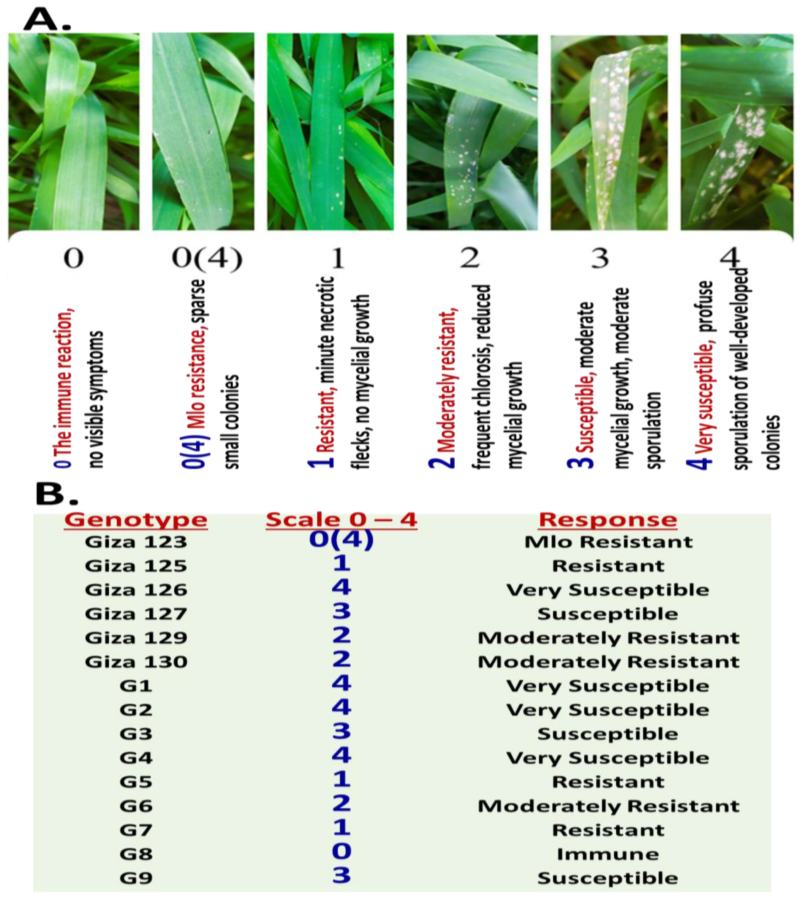 Plants 14 01231 g001