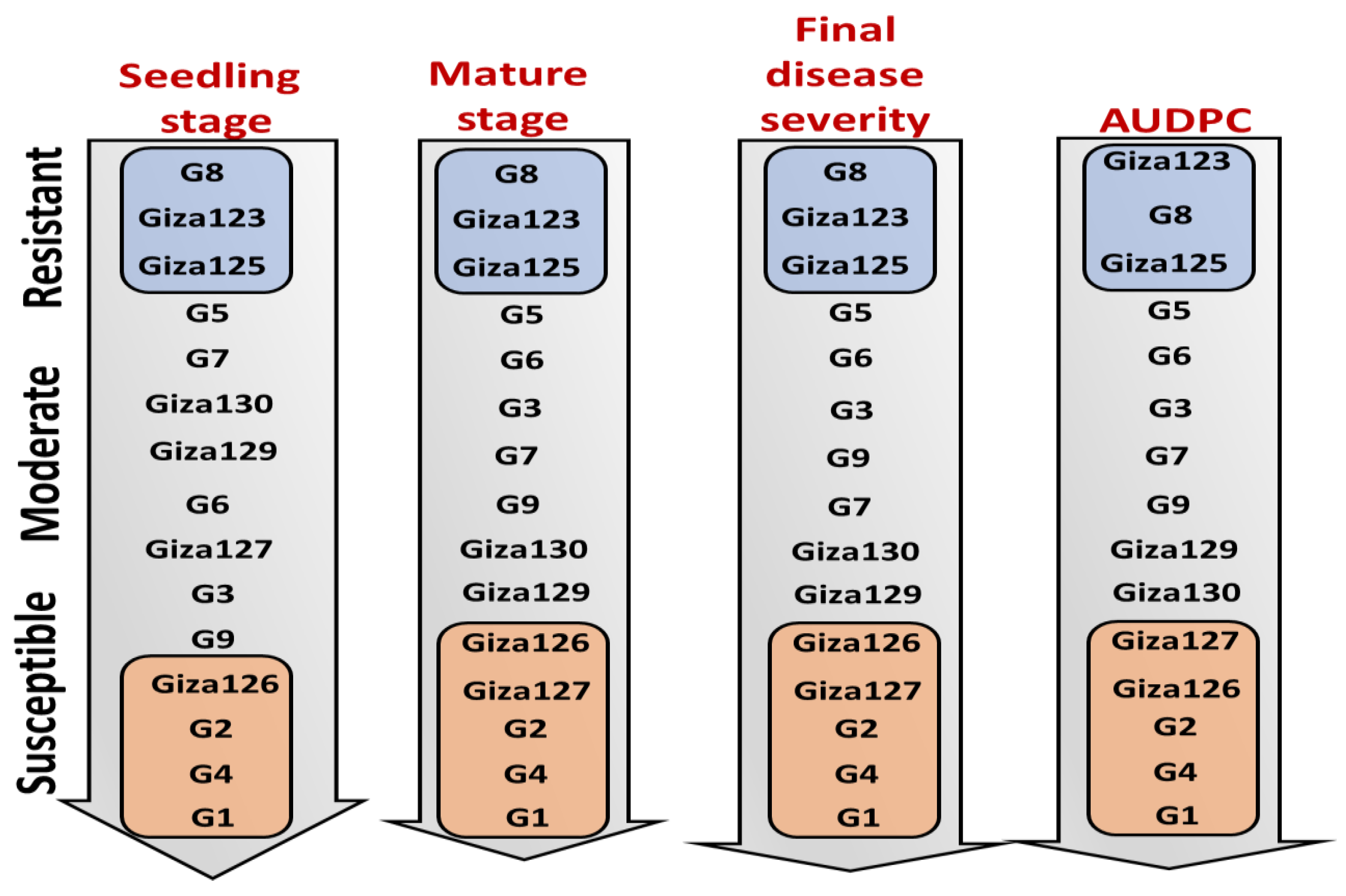 Plants 14 01231 g003