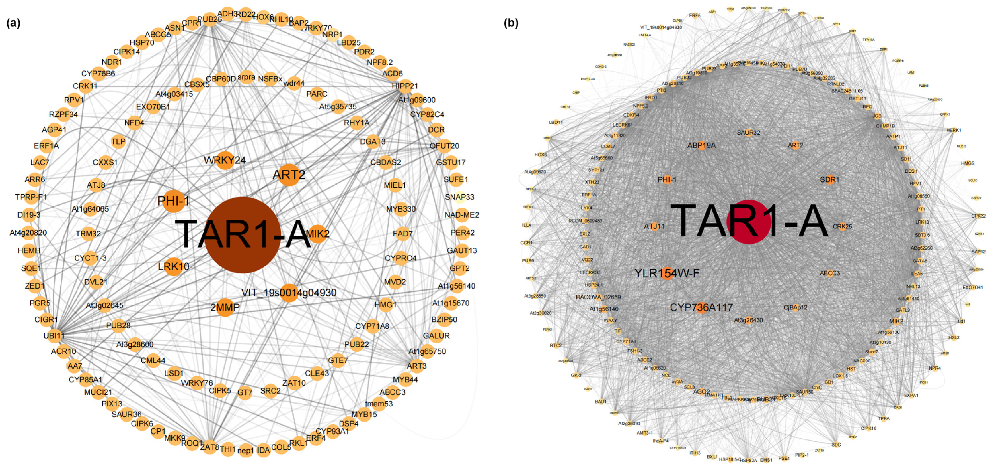 Plants 14 01233 g005