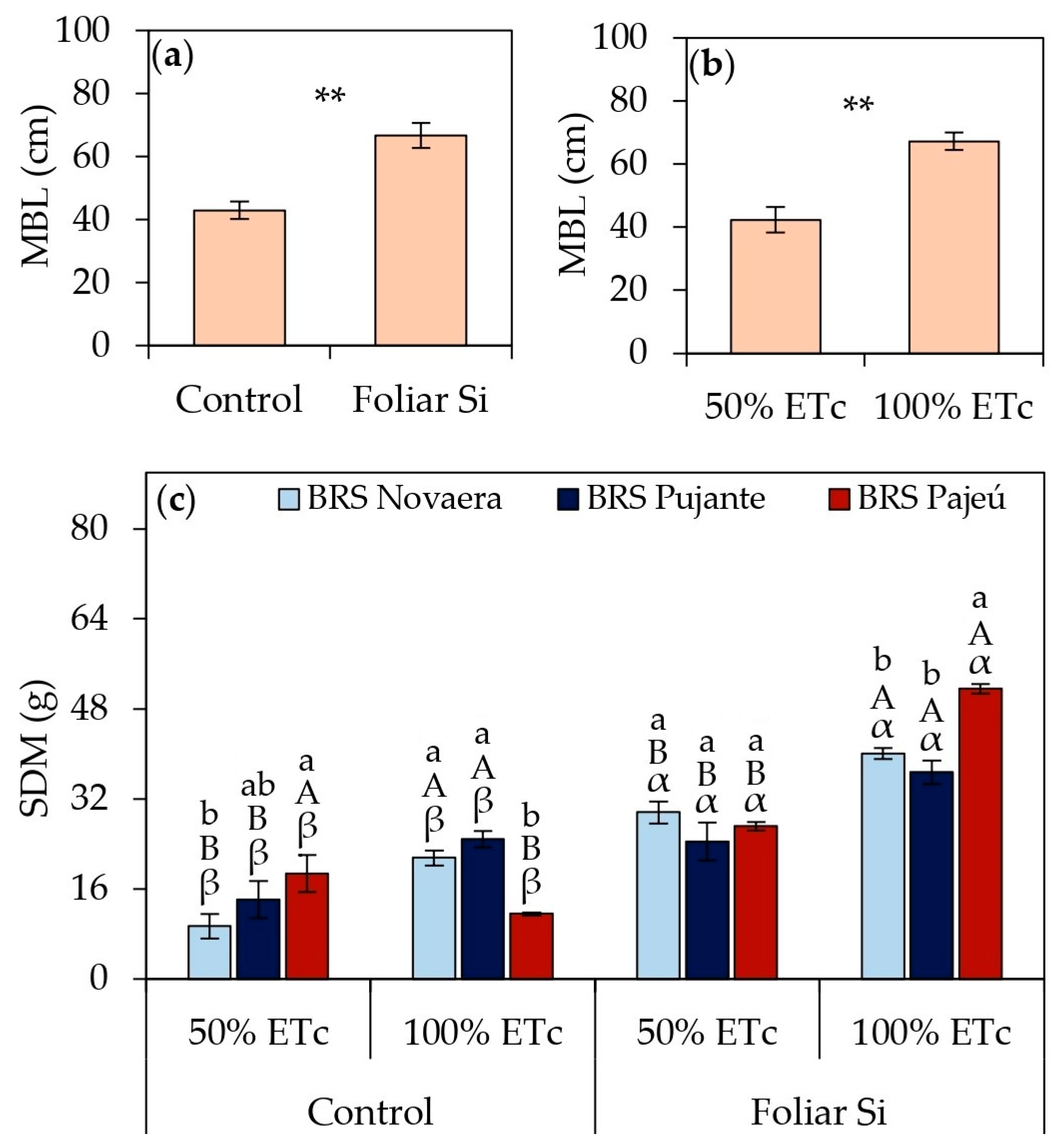 Plants 14 01241 g004