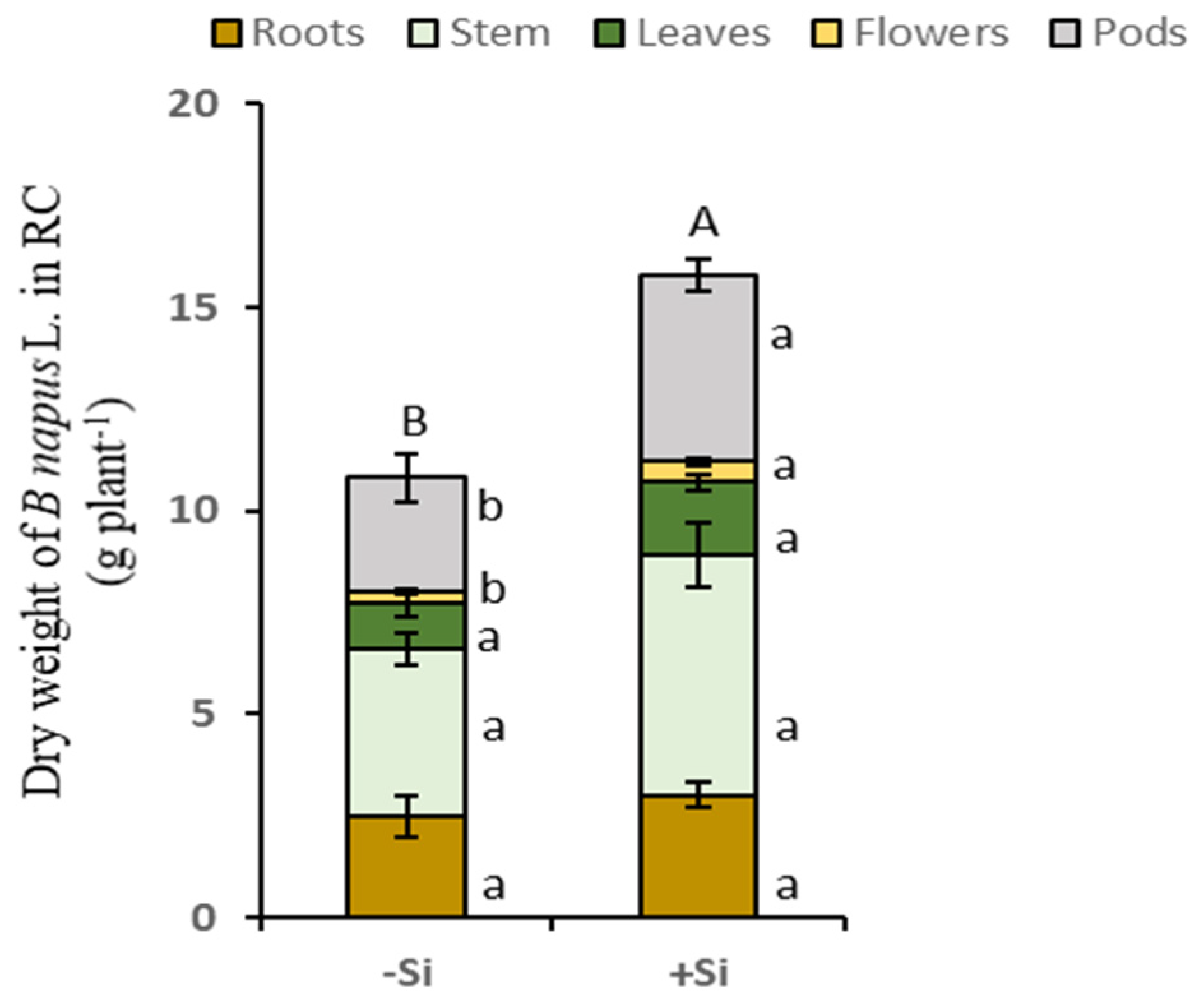 Plants 14 01246 g001