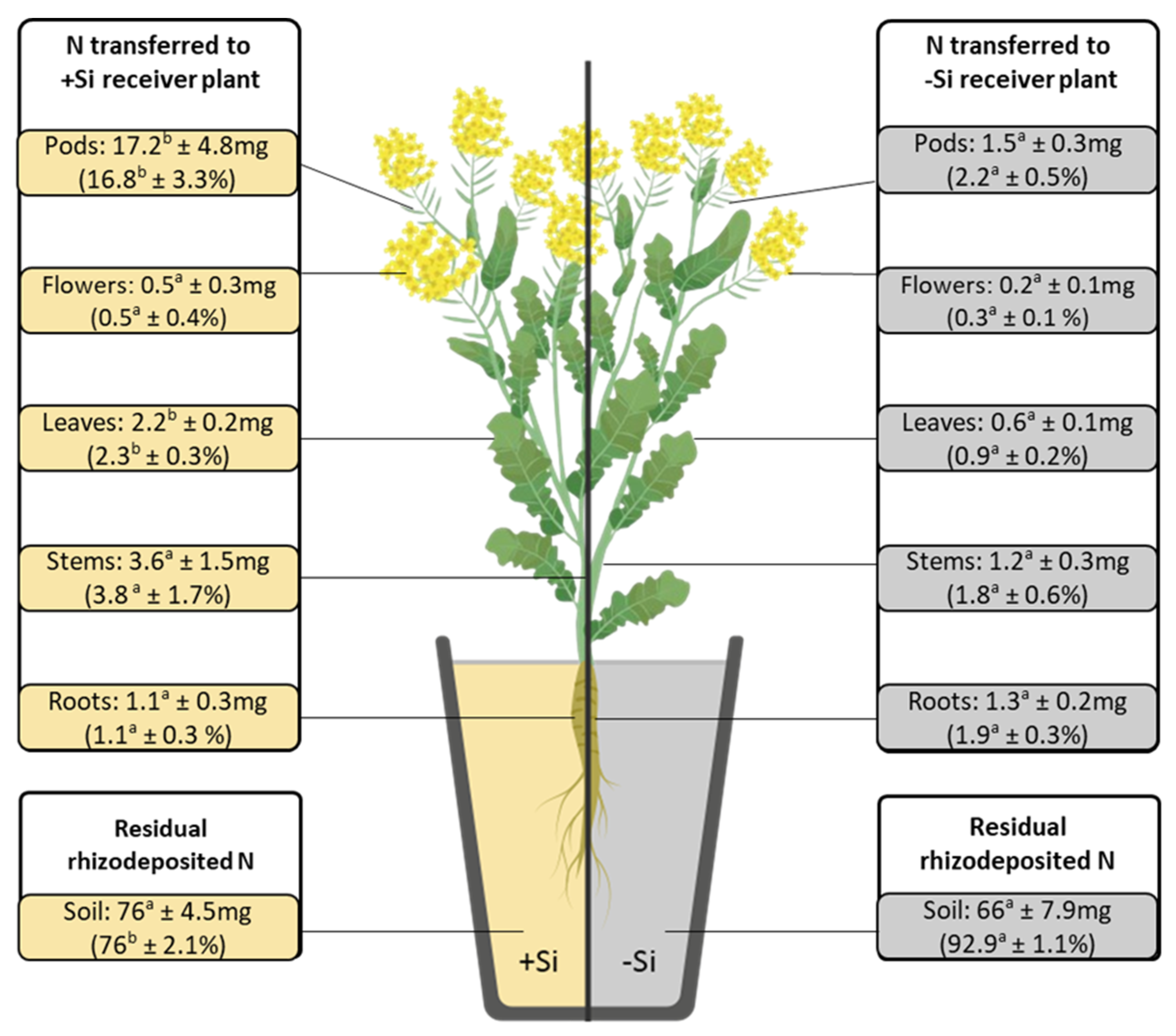 Plants 14 01246 g002