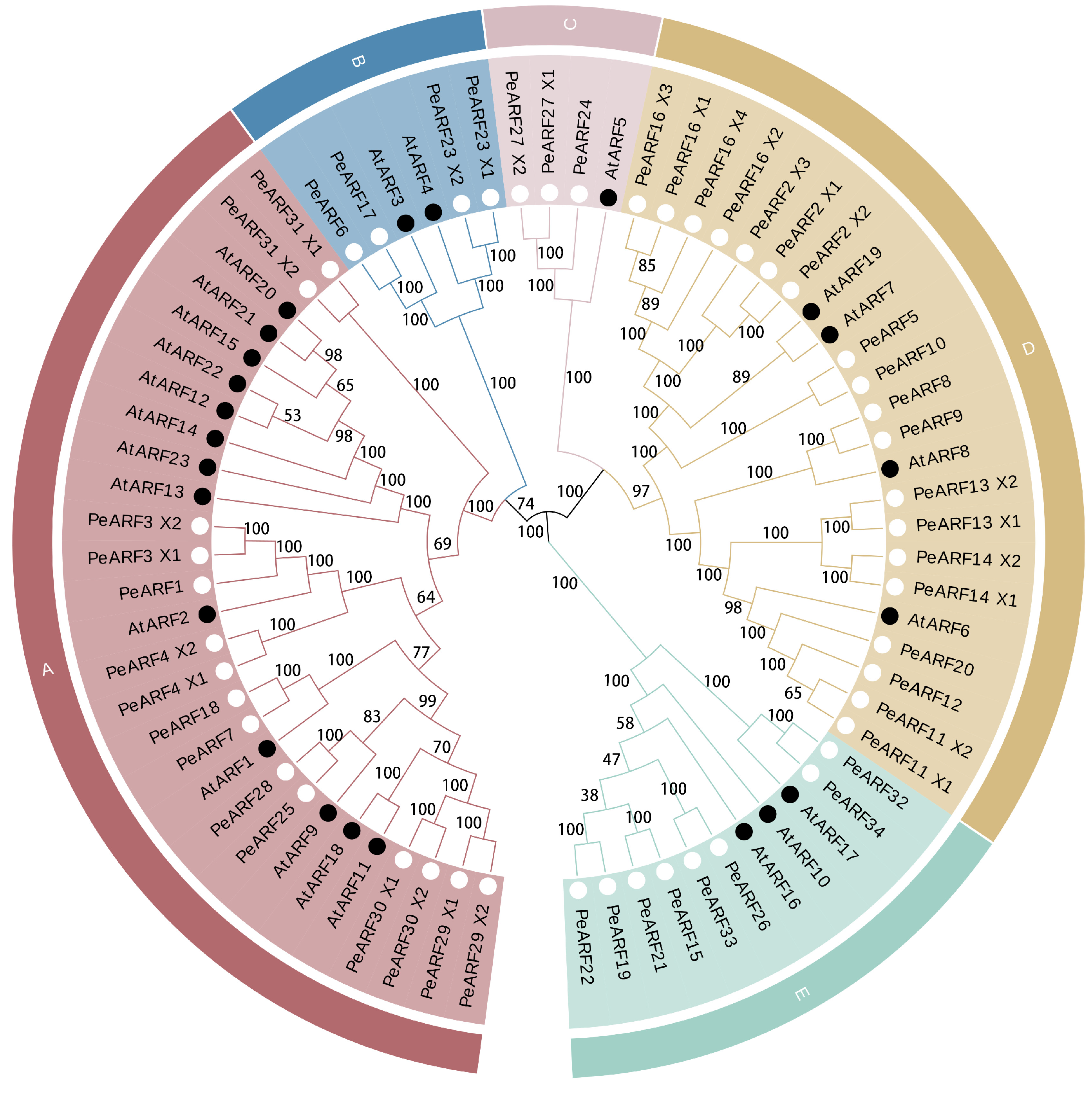 Plants 14 01248 g002