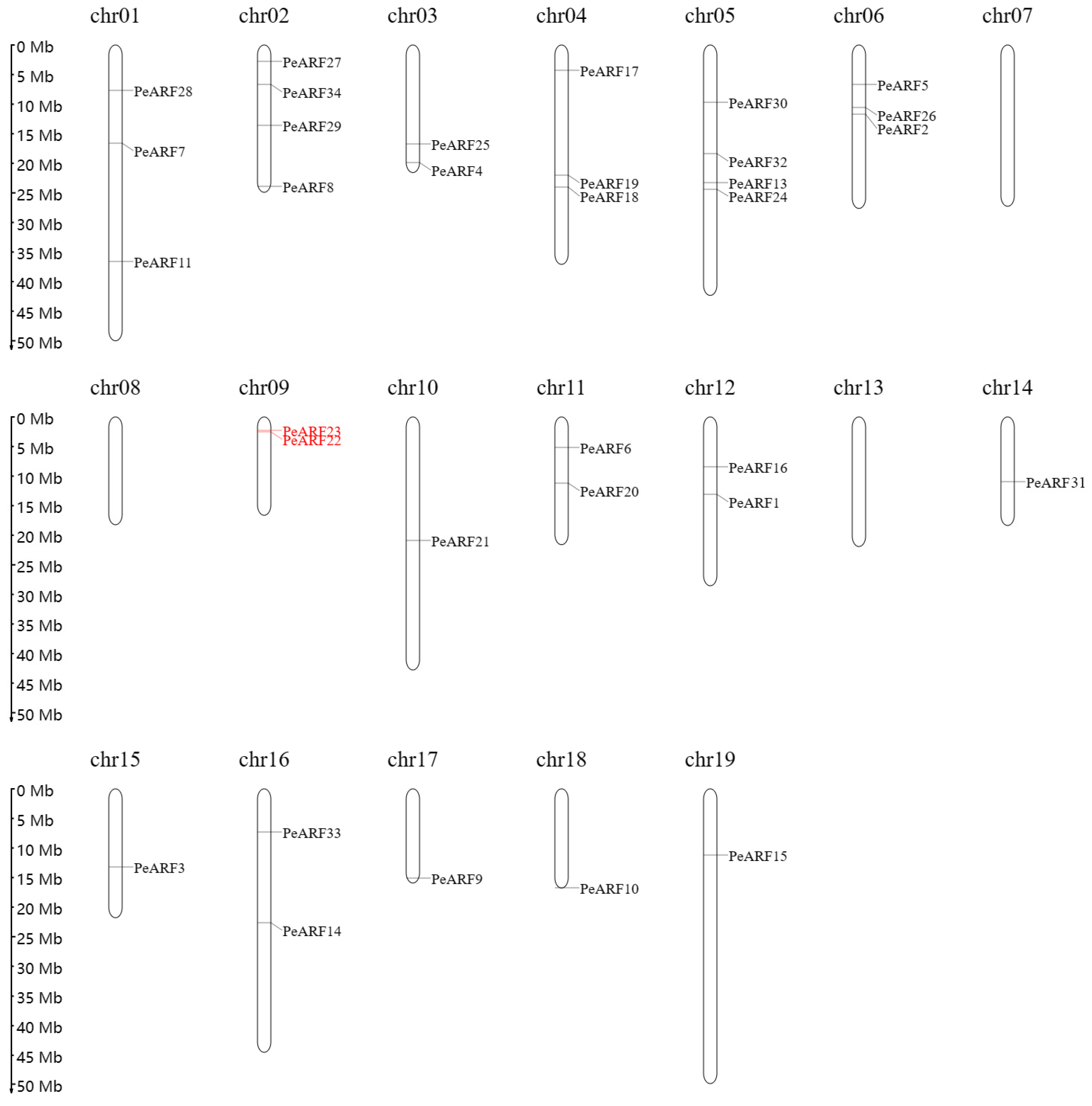 Plants 14 01248 g004