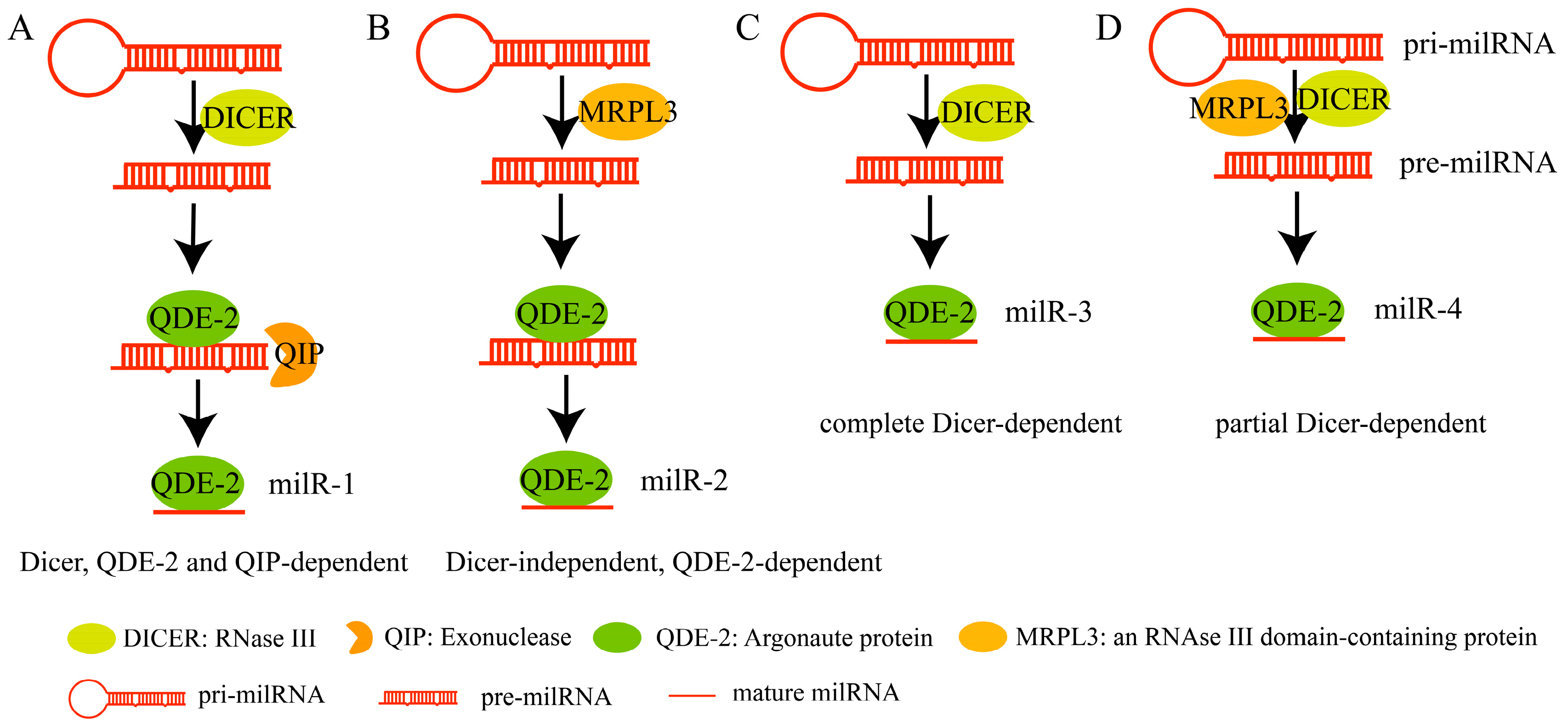 Plants 14 01250 g002