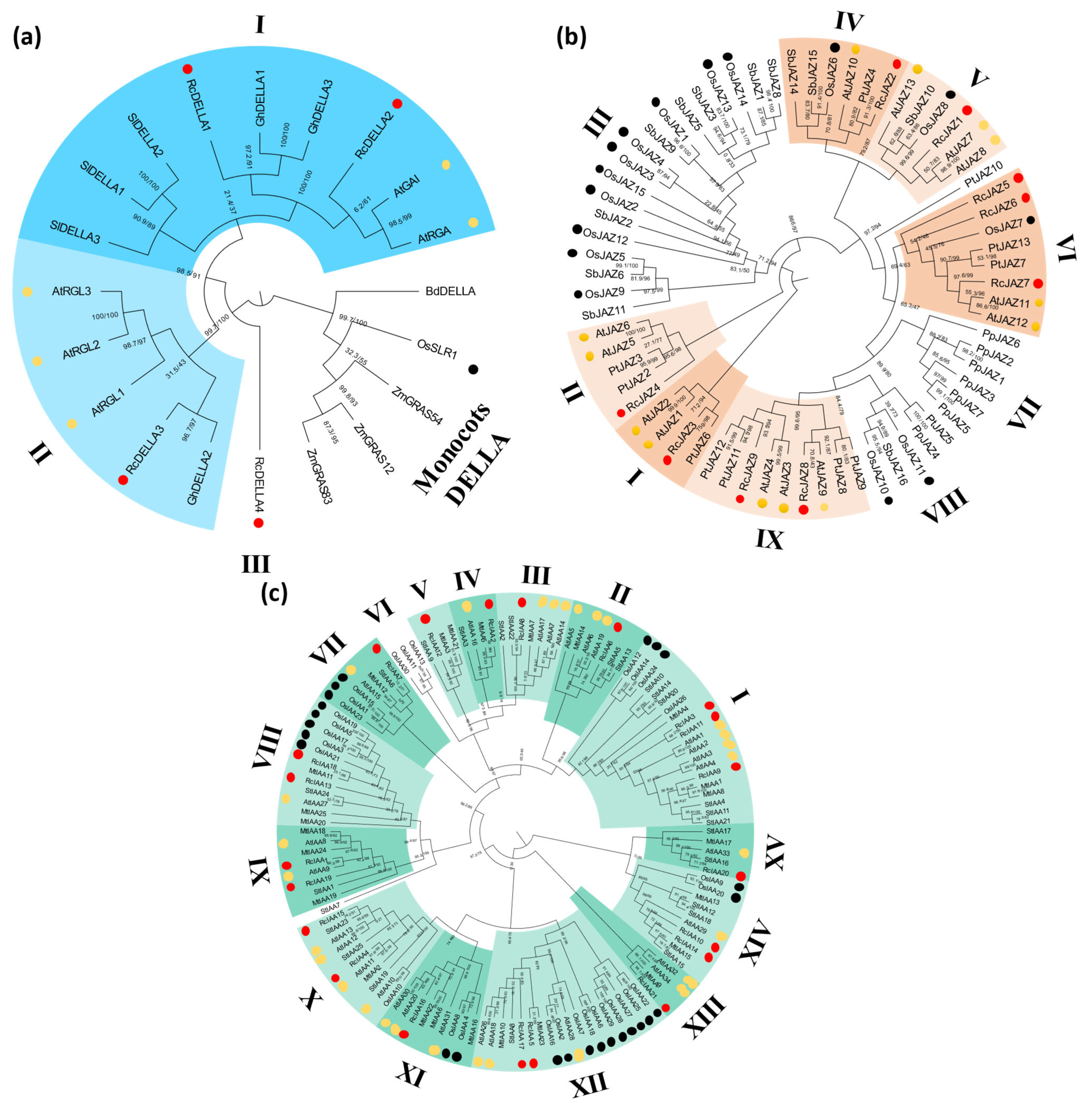 Plants 14 01256 g003