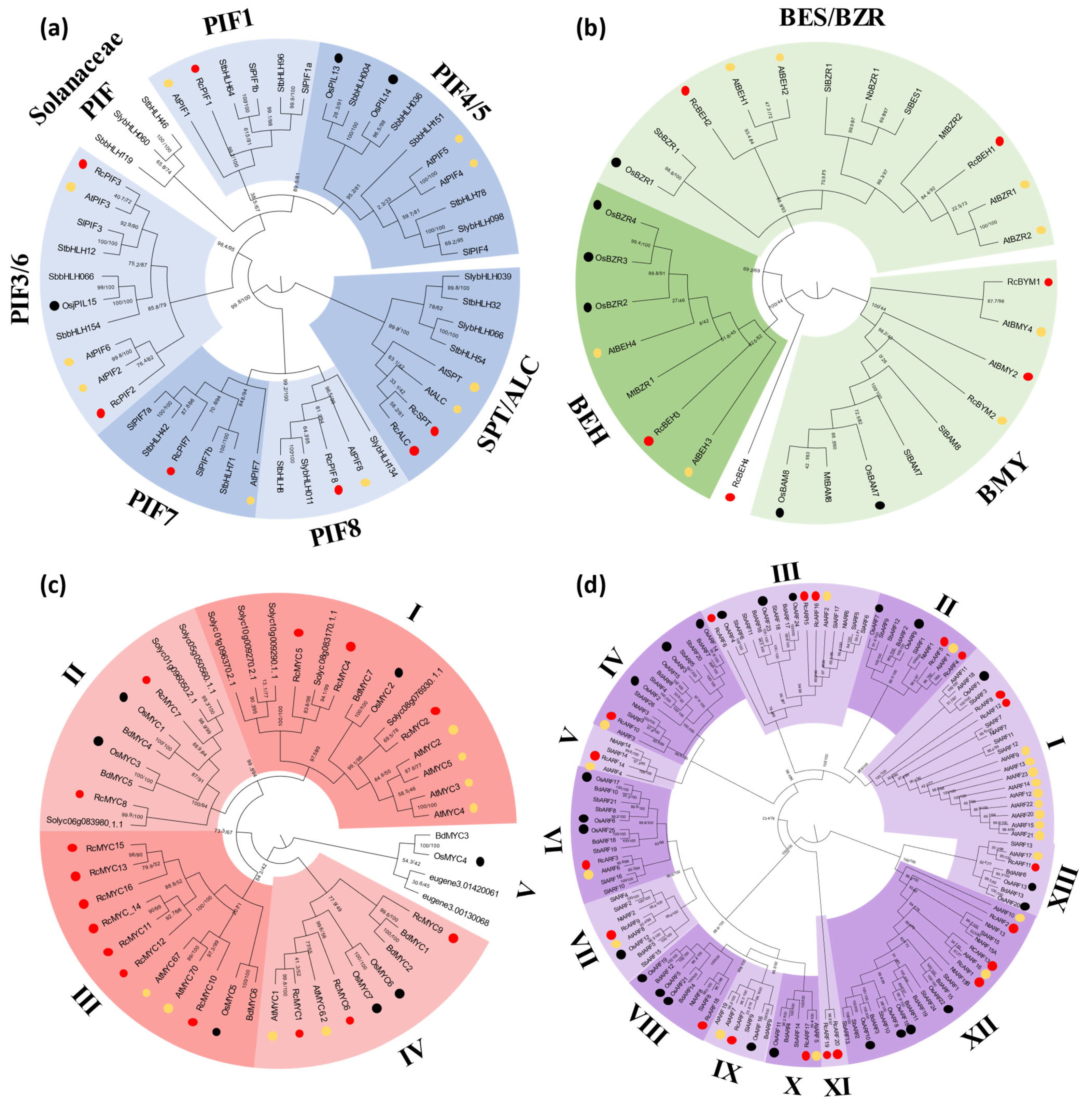 Plants 14 01256 g004