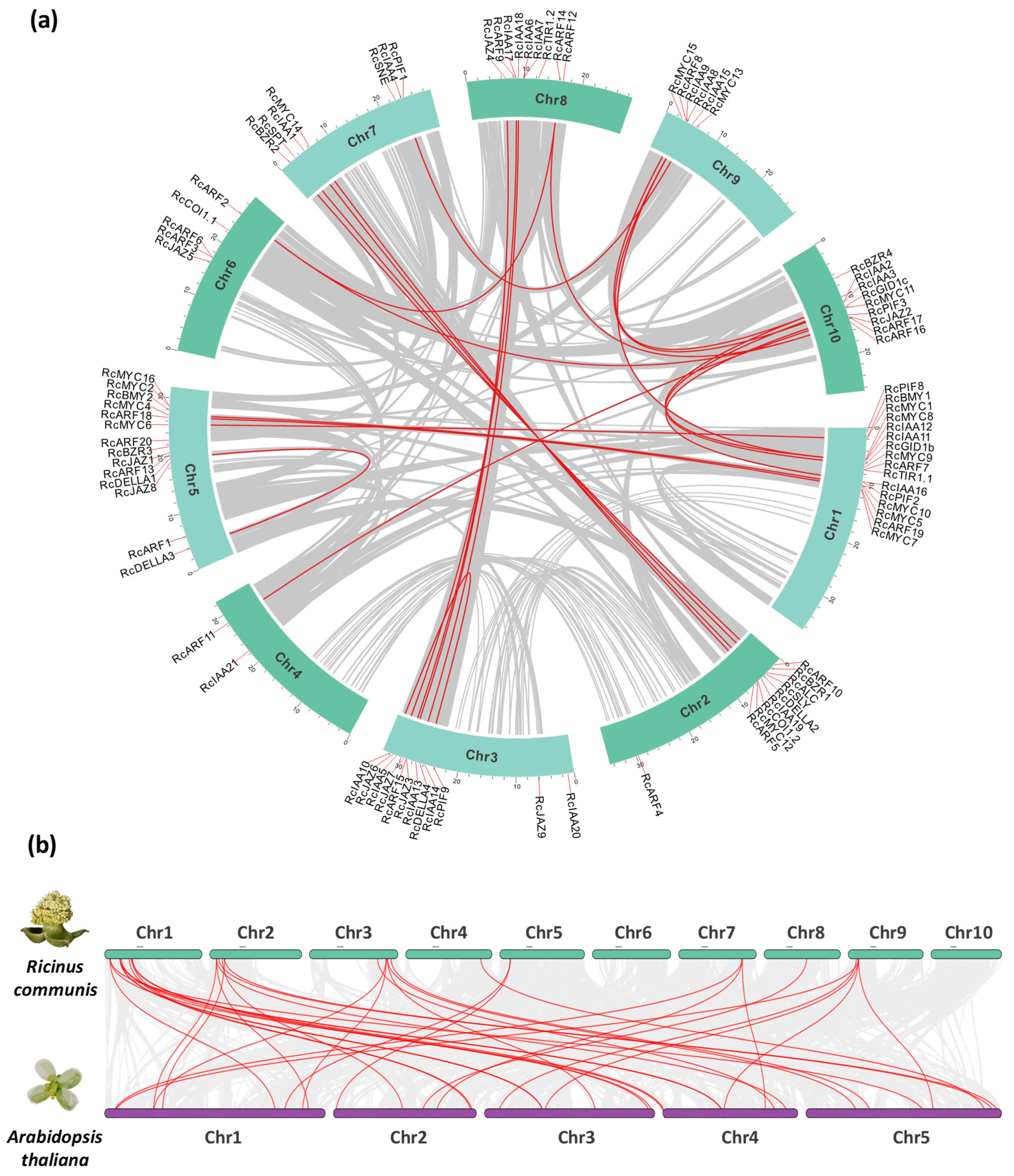 Plants 14 01256 g005