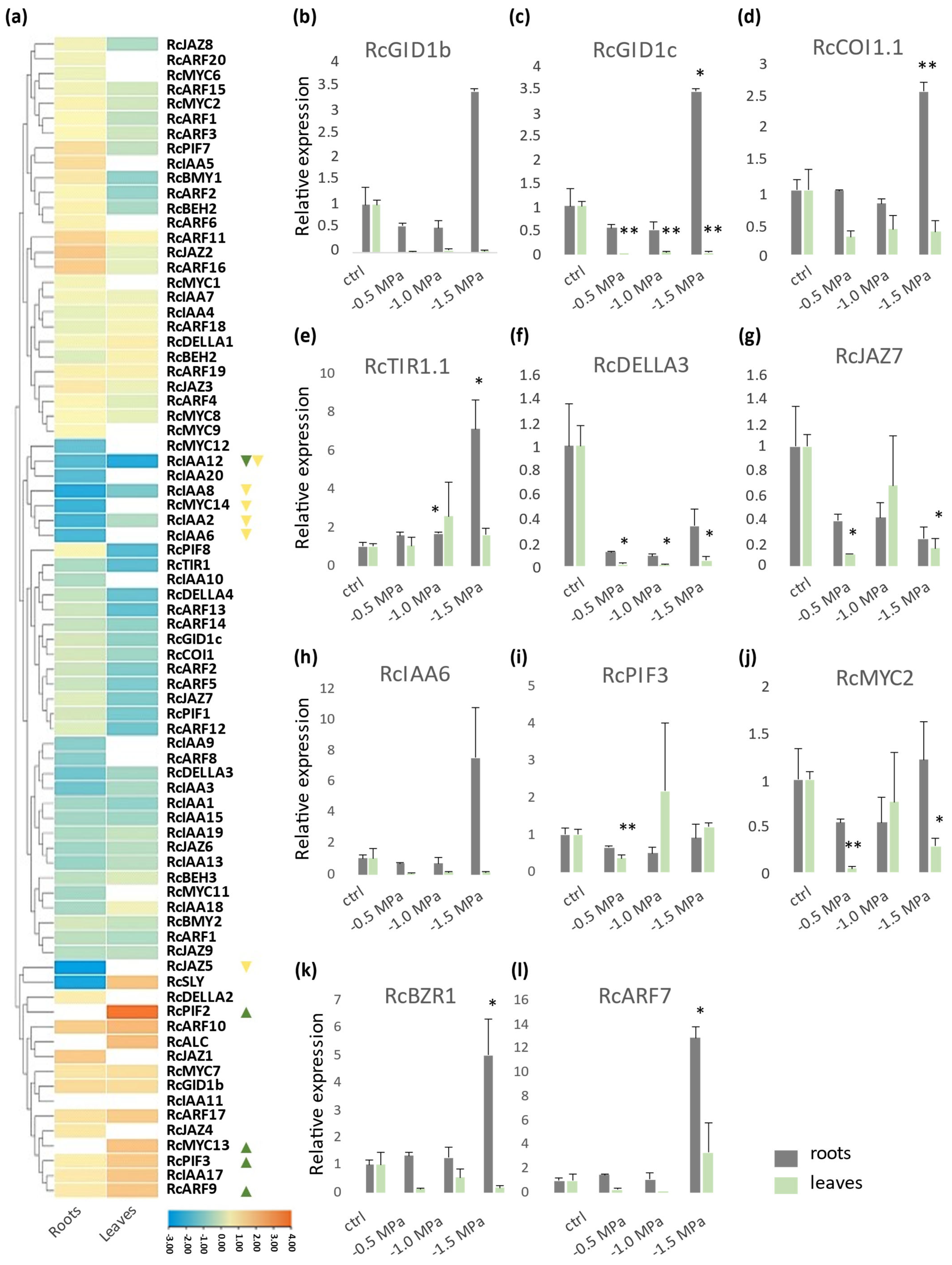 Plants 14 01256 g007