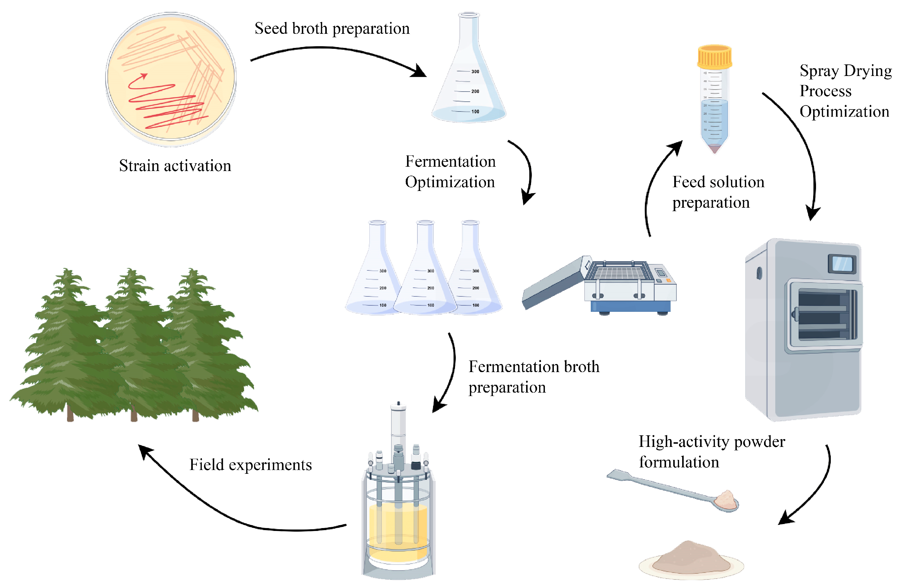 Plants 14 01263 g012