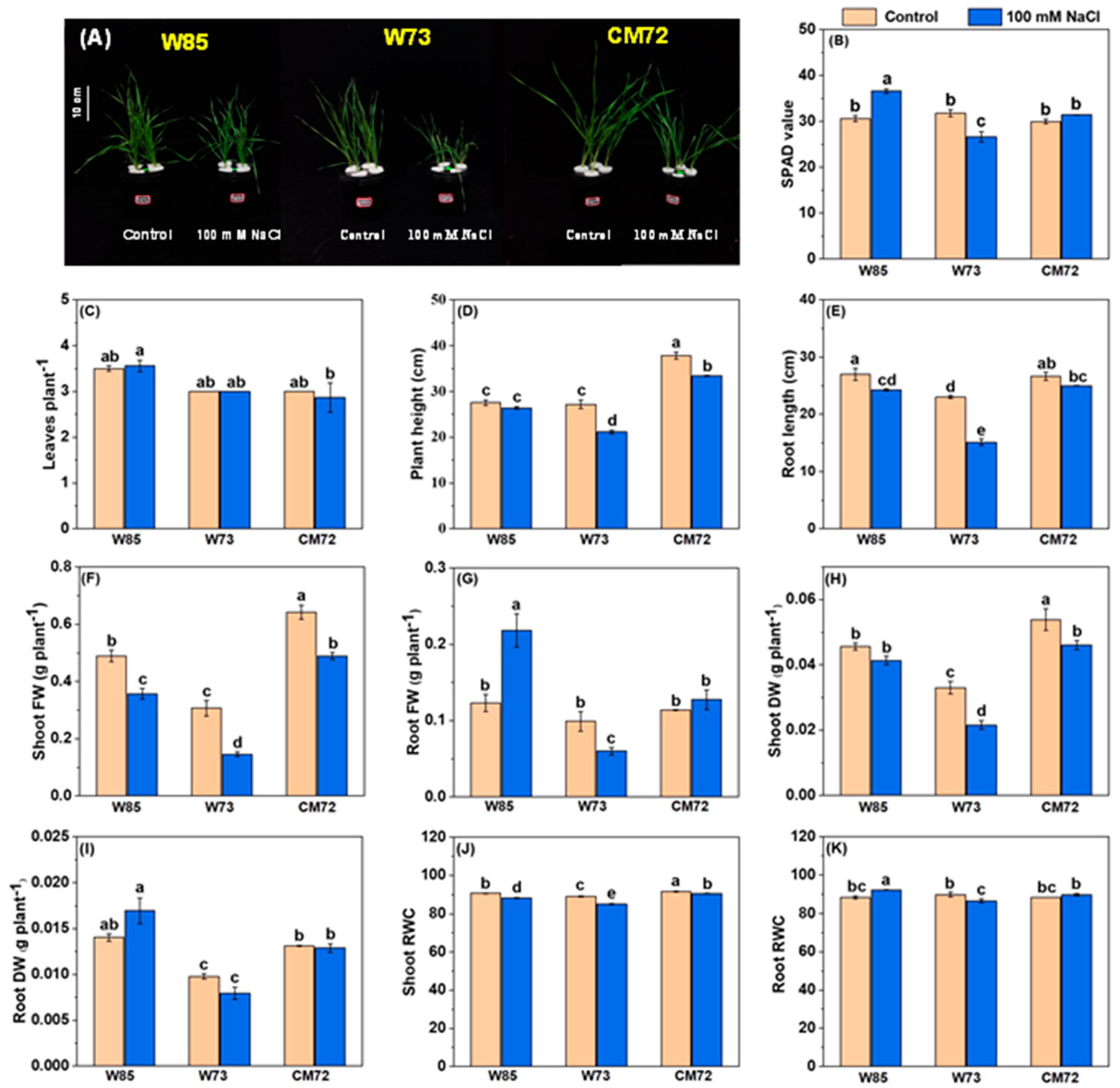 Plants 14 01268 g003