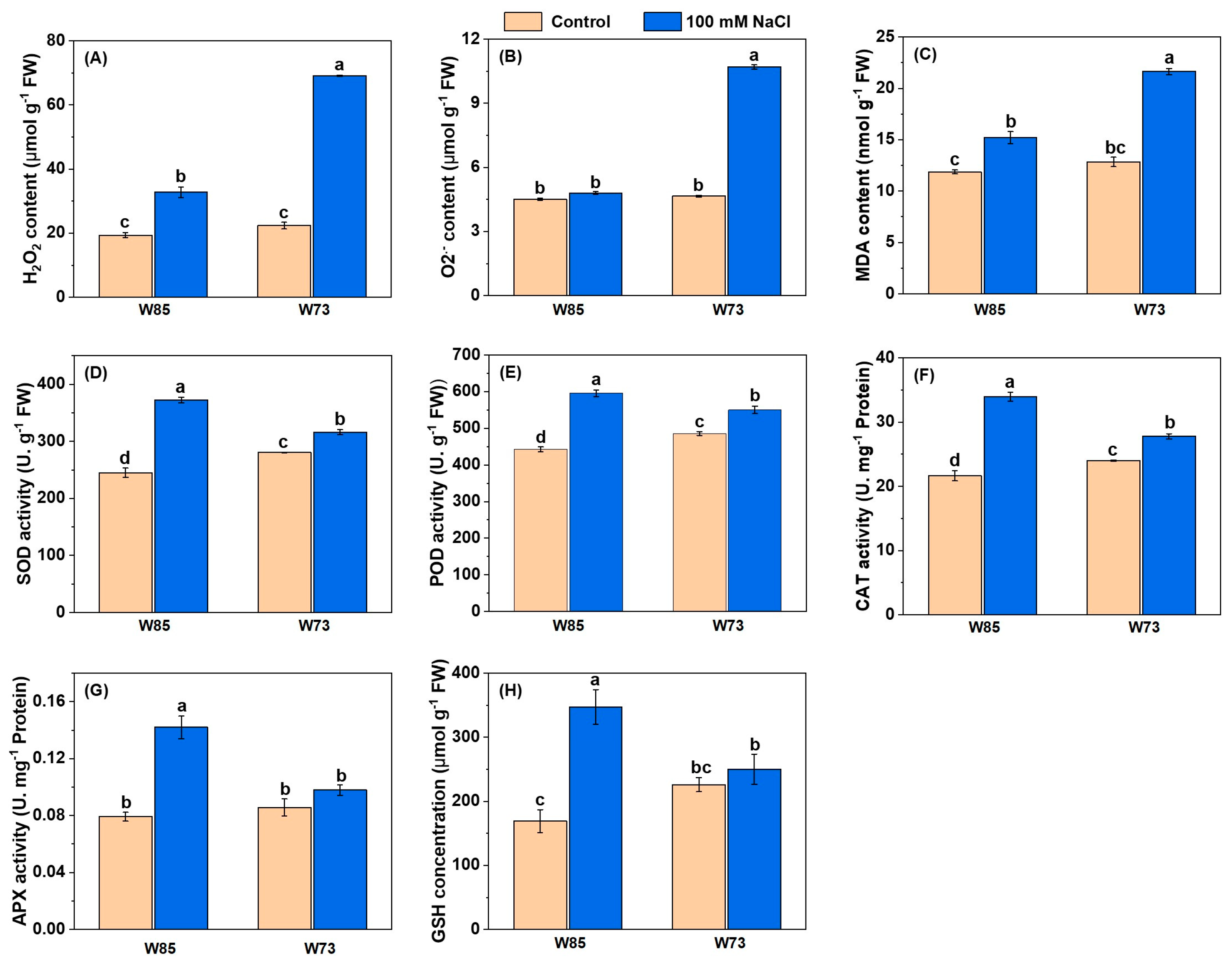Plants 14 01268 g006