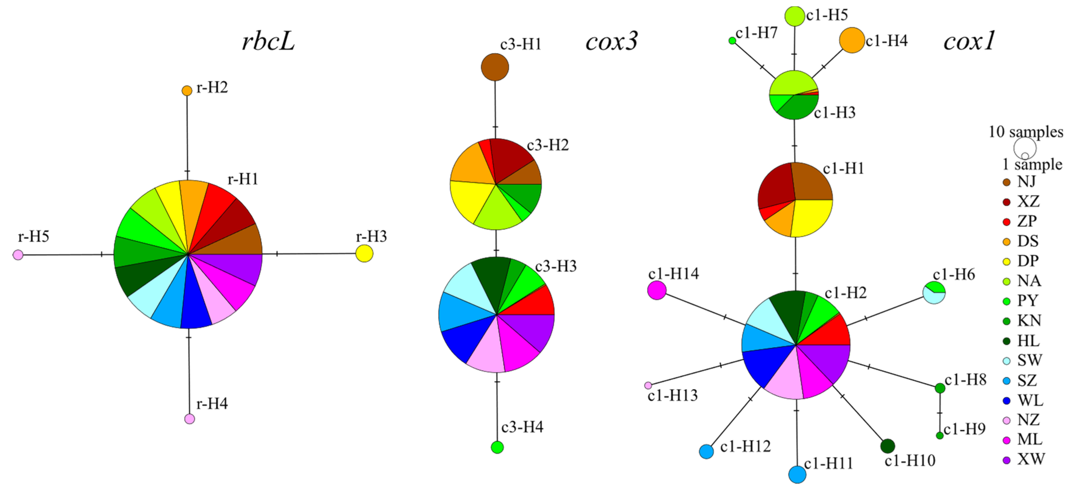 Plants 14 01269 g001