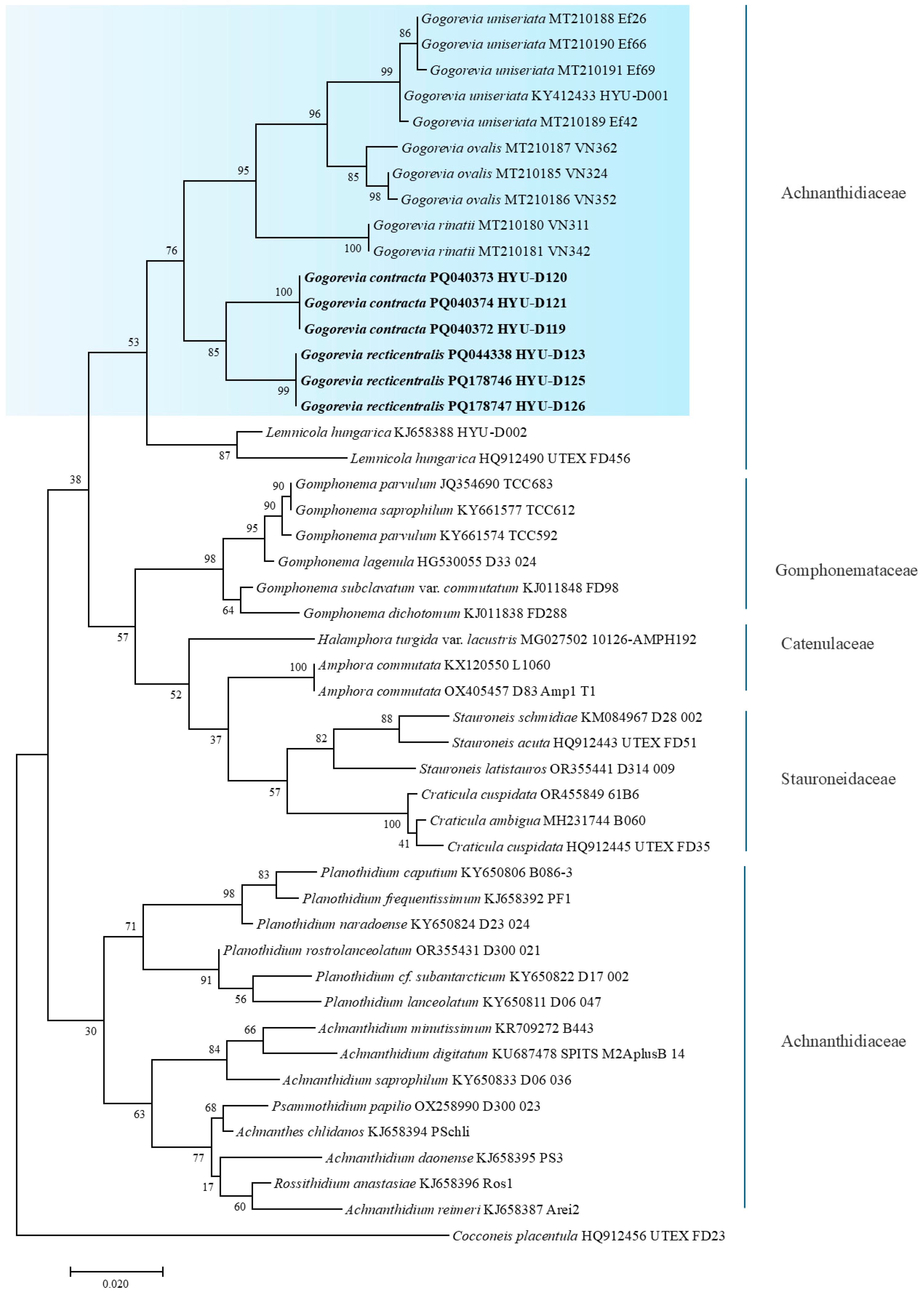 Plants 14 01272 g006