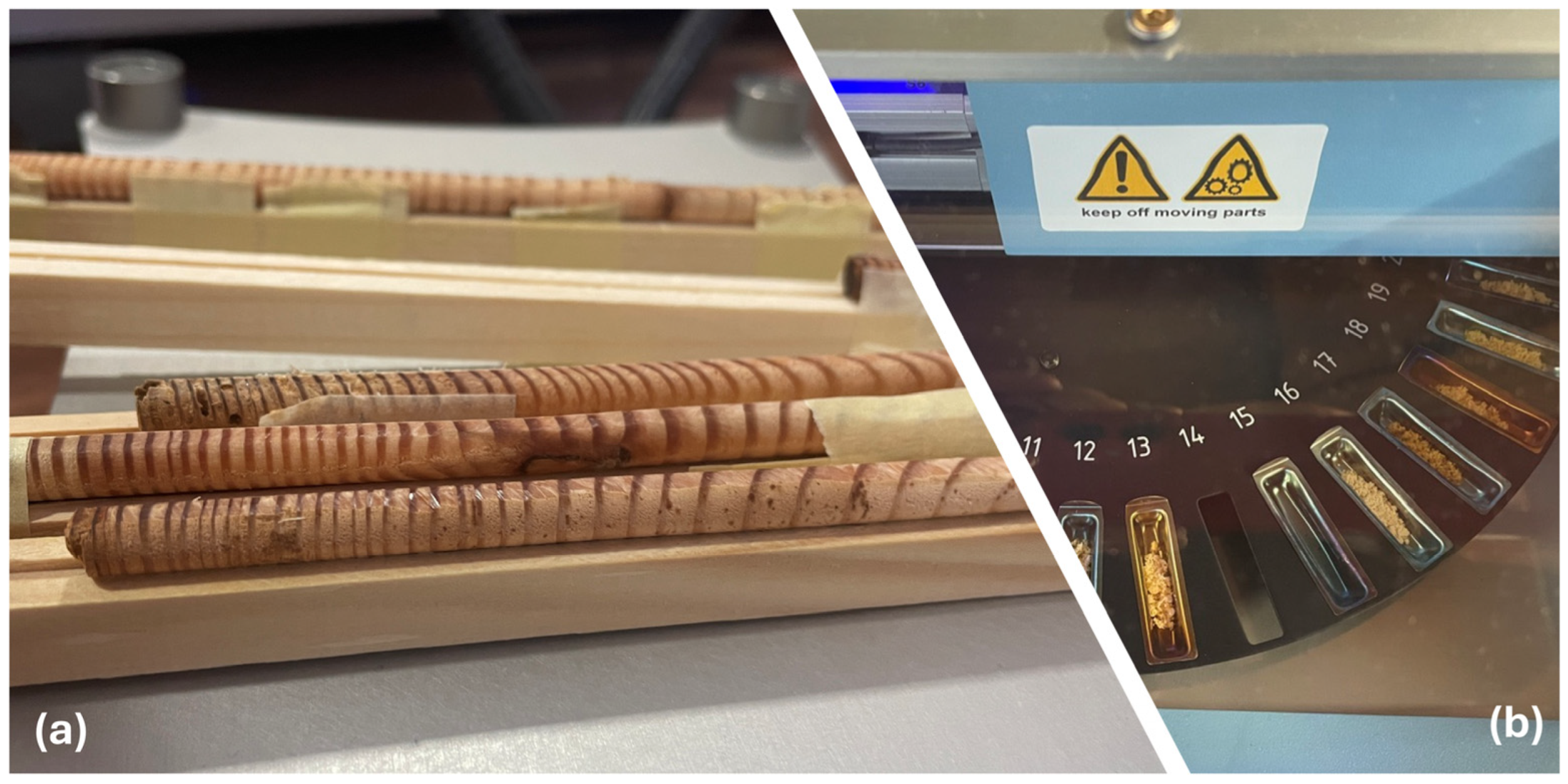 Plants 14 01275 g002