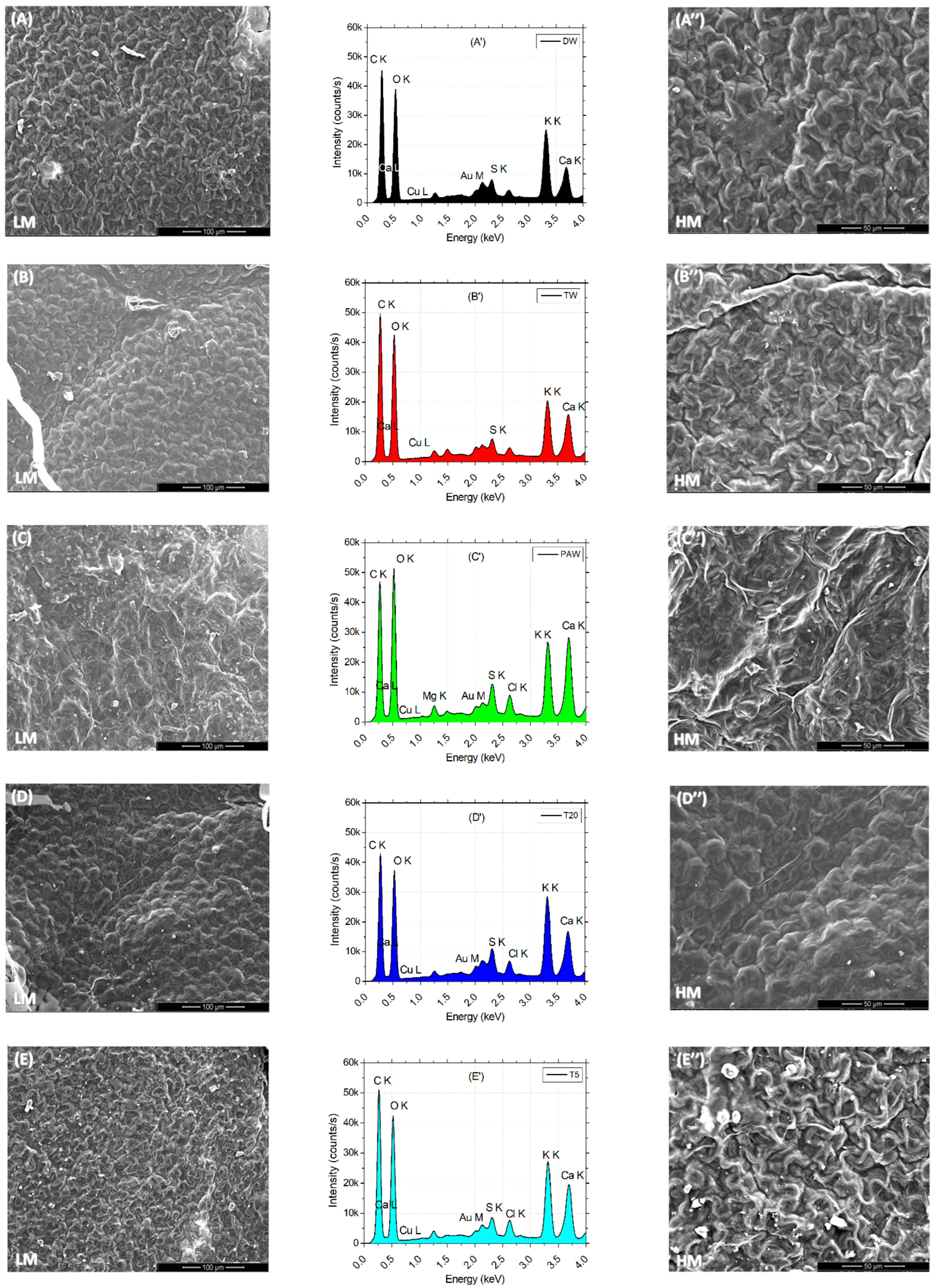 Plants 14 01277 g007a