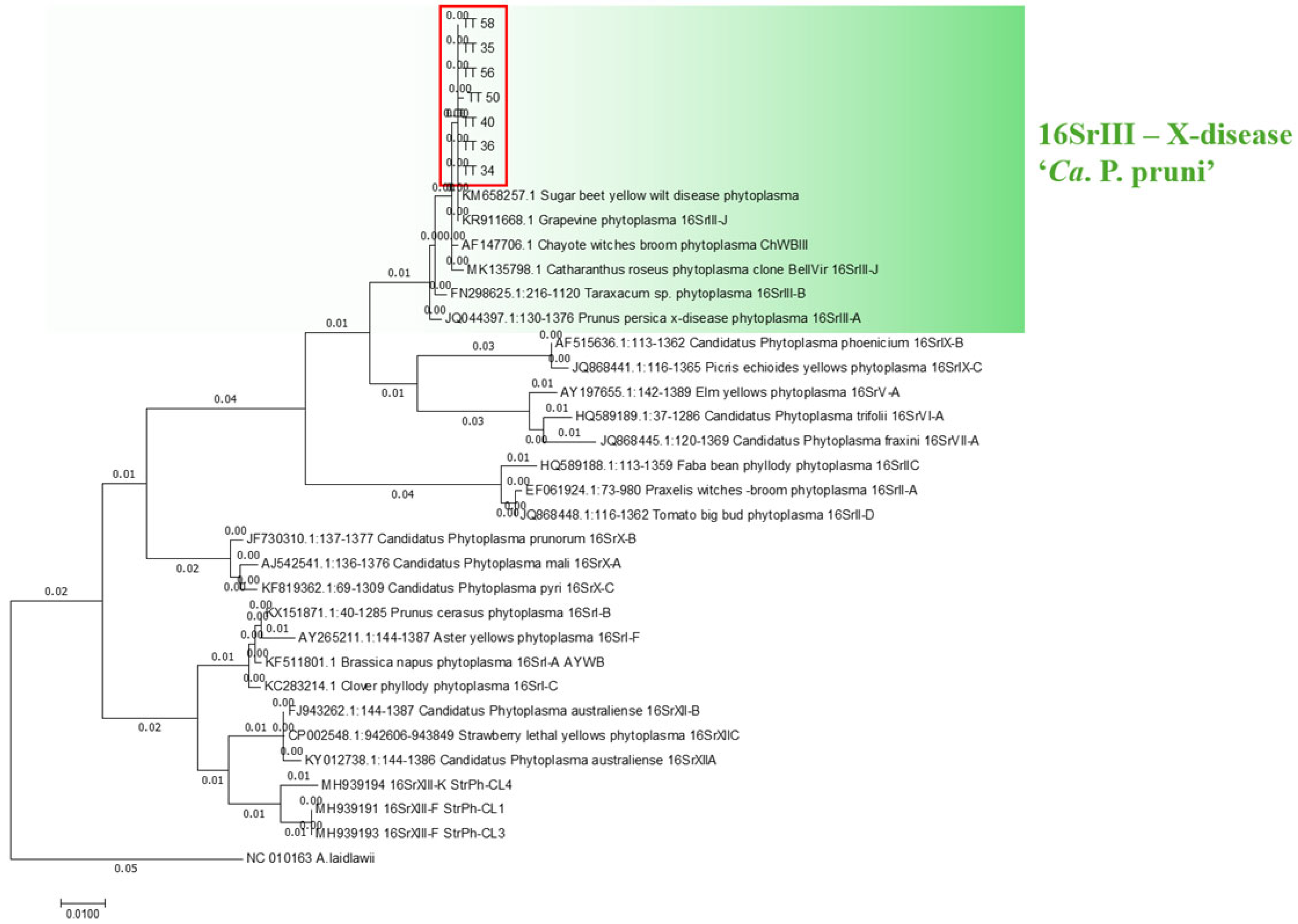 Plants 14 01279 g003
