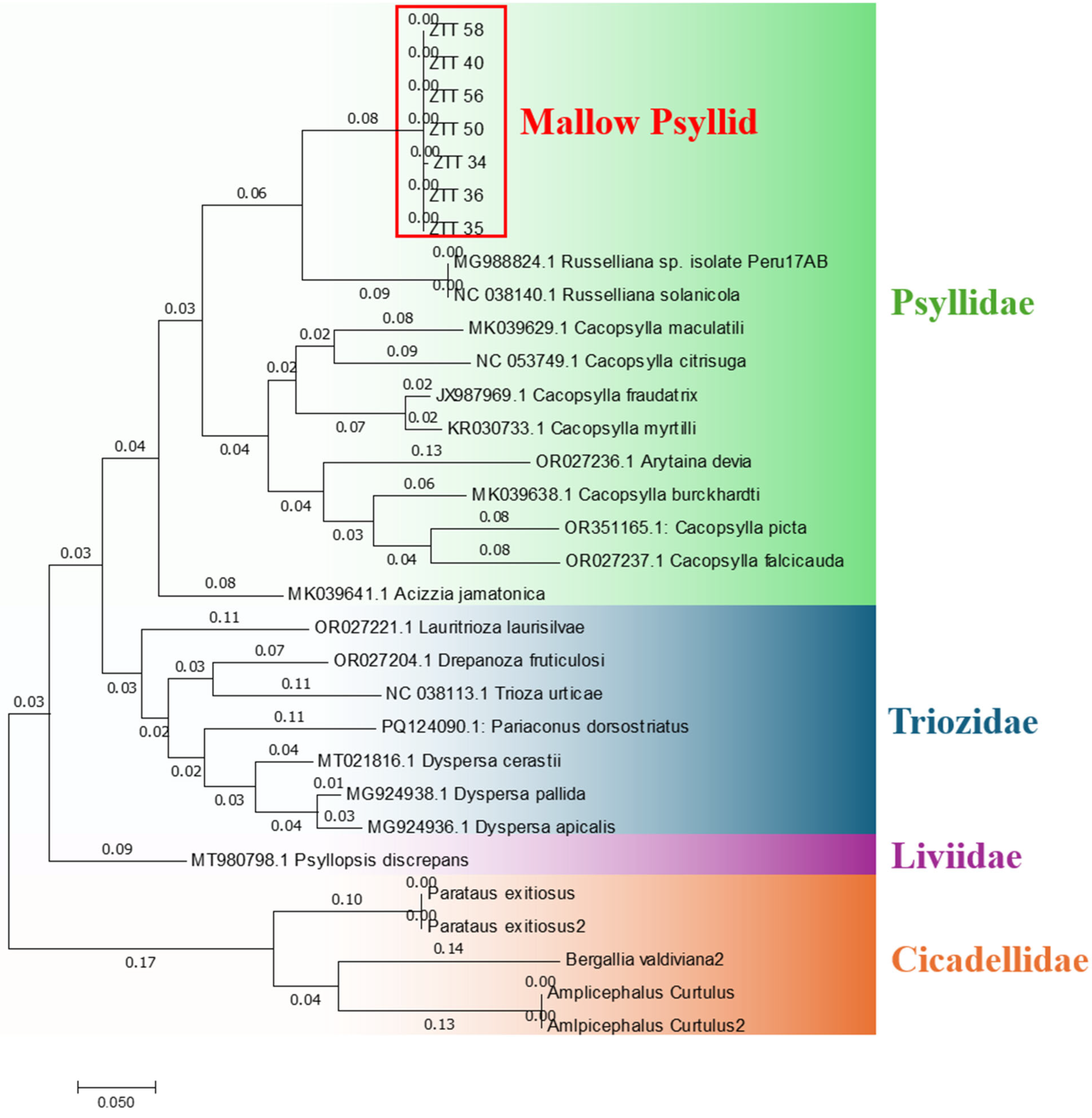 Plants 14 01279 g005