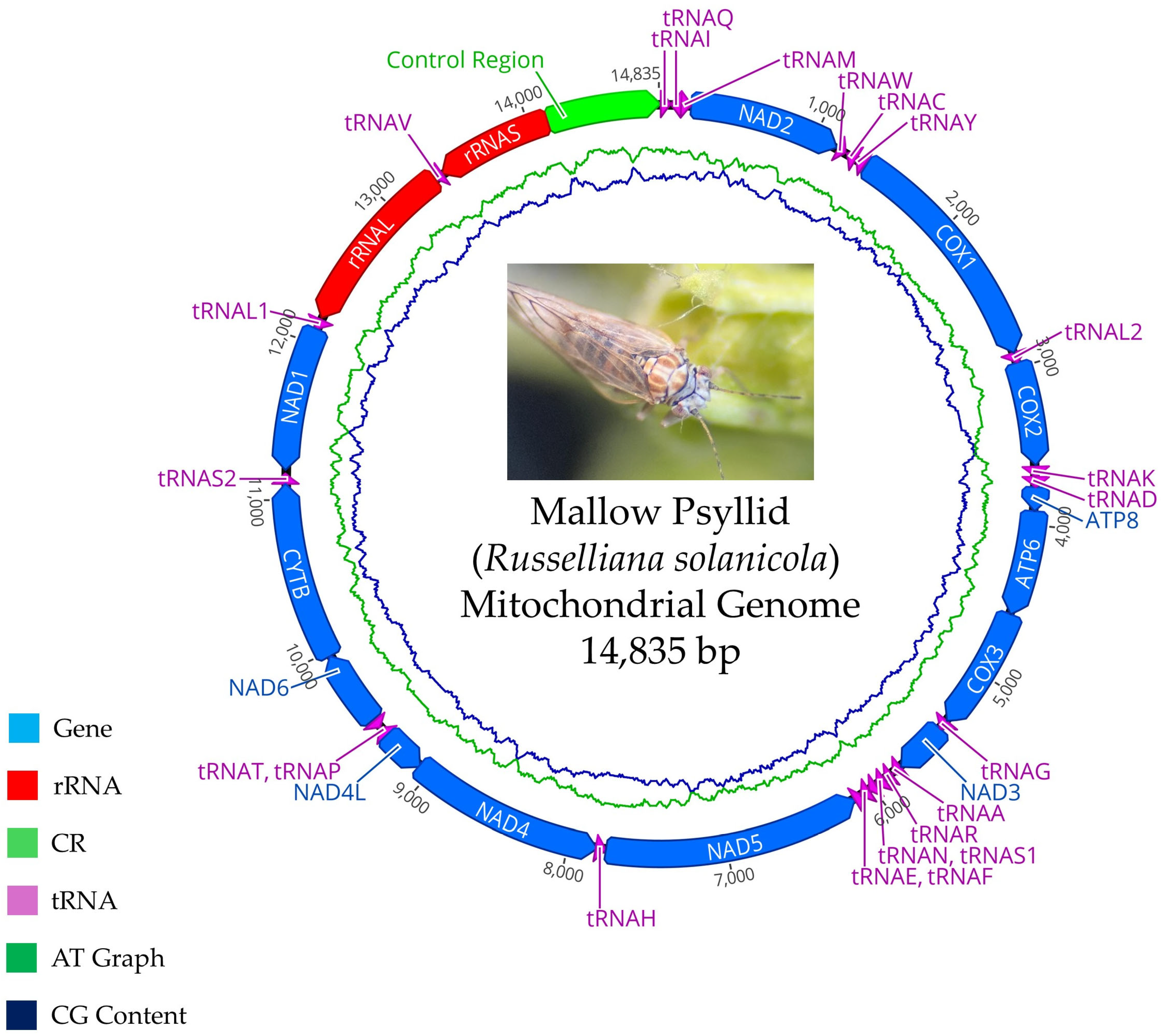 Plants 14 01279 g006