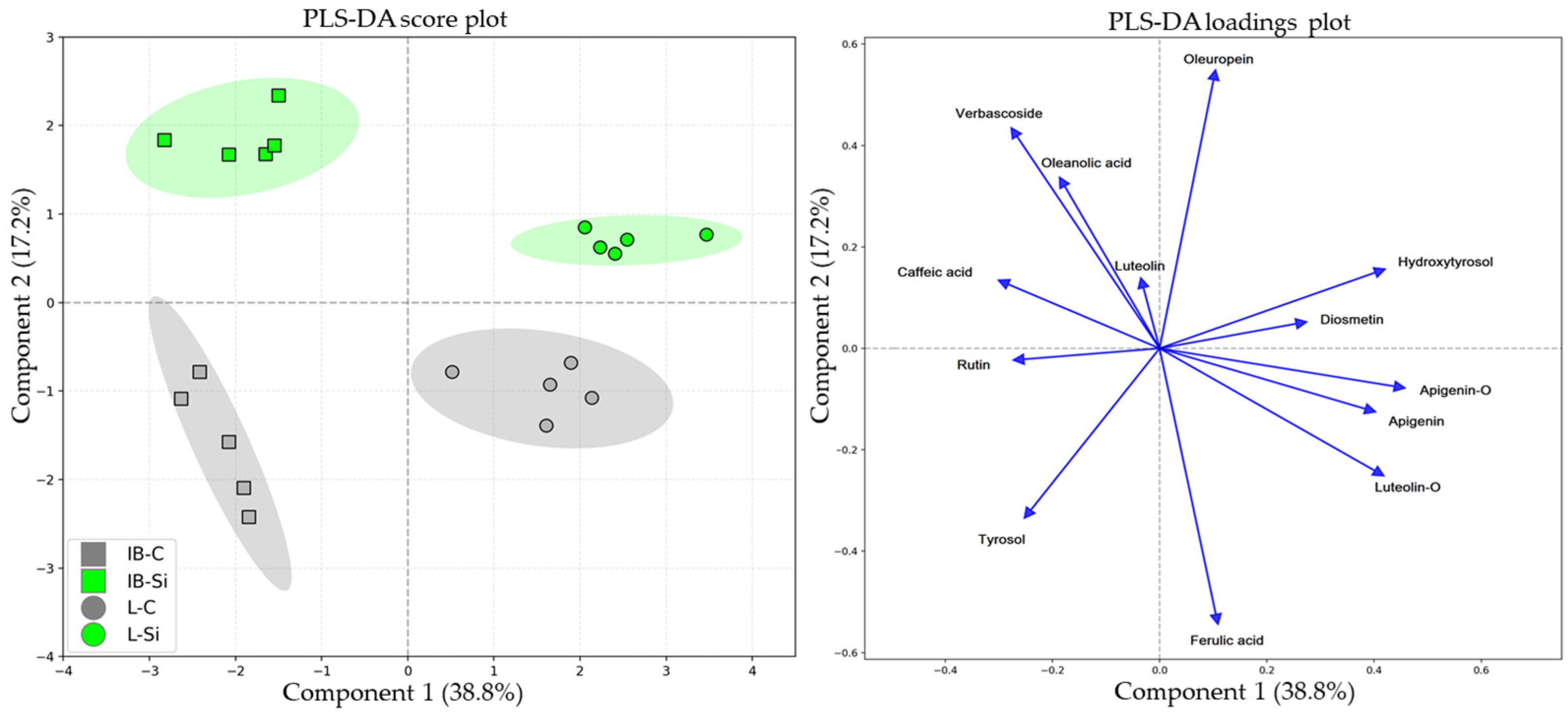Plants 14 01282 g006