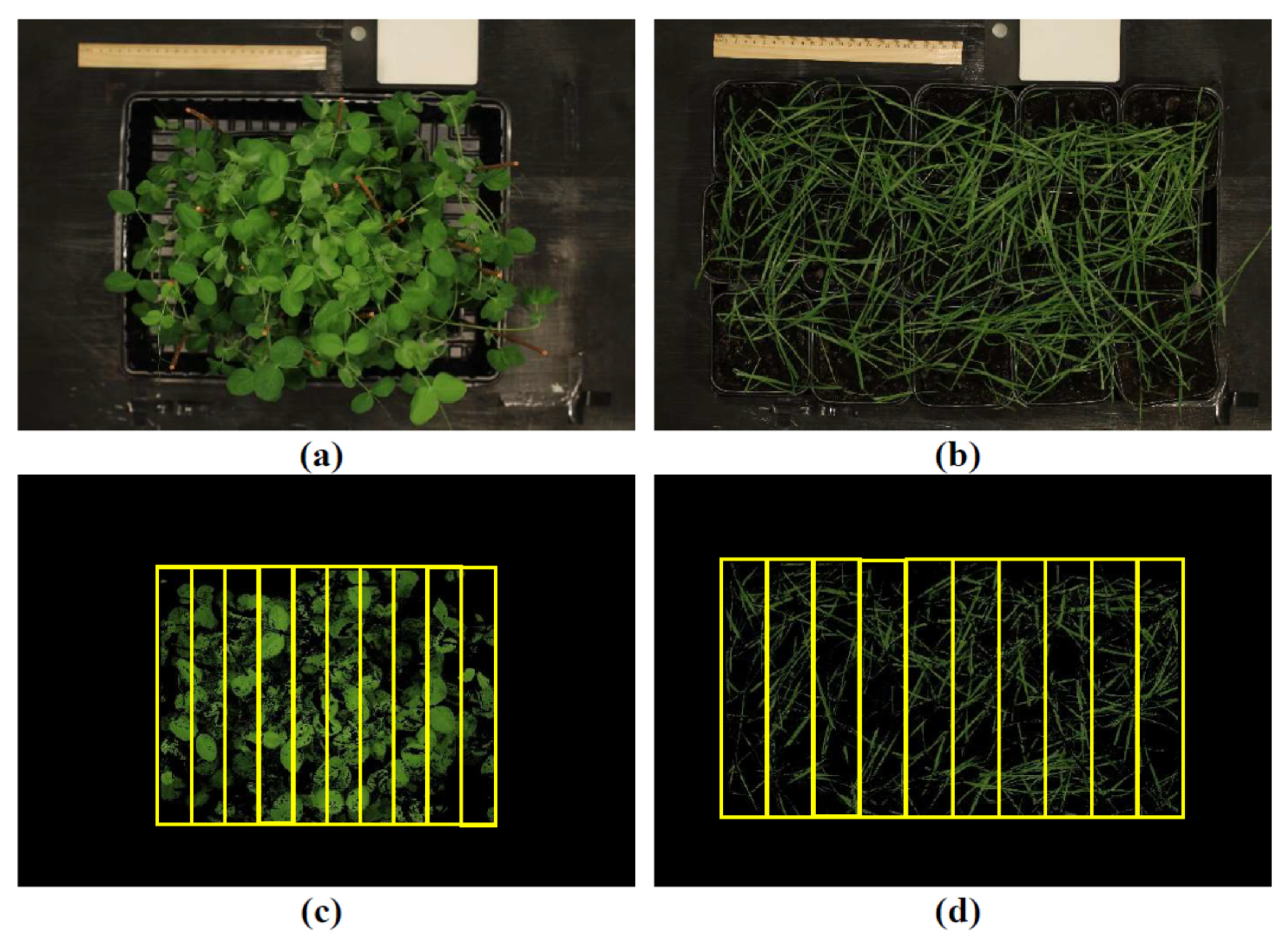 Plants 14 01284 g009