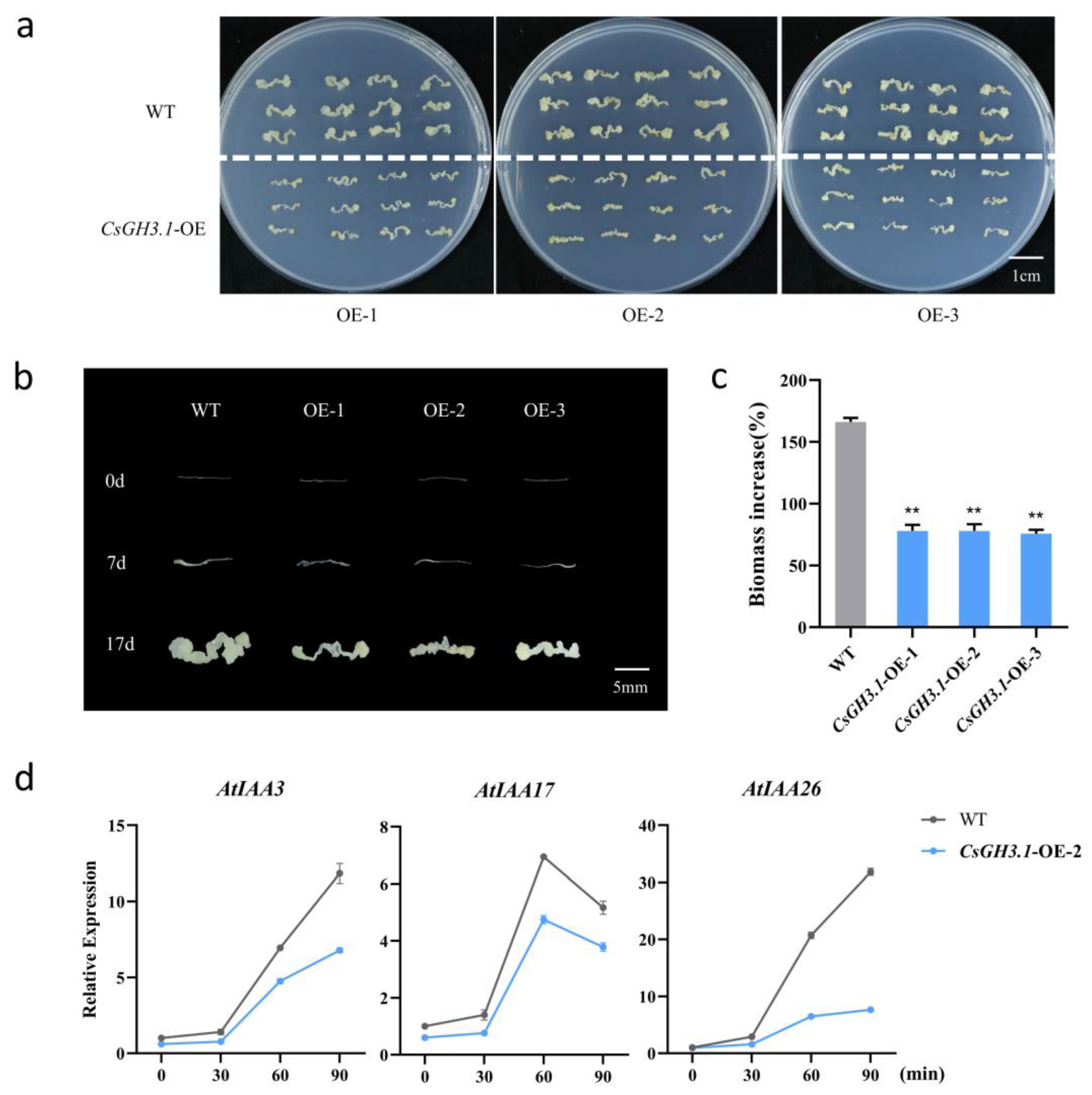 Plants 14 01287 g005