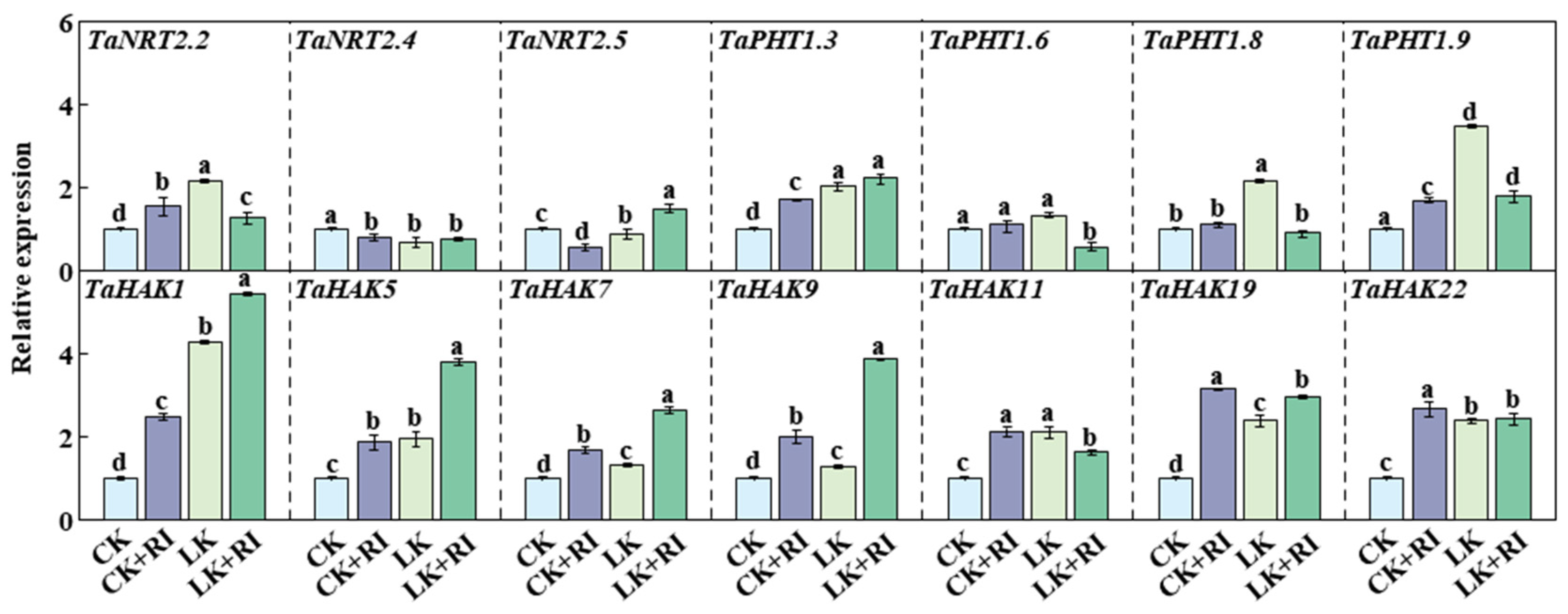 Plants 14 01288 g006