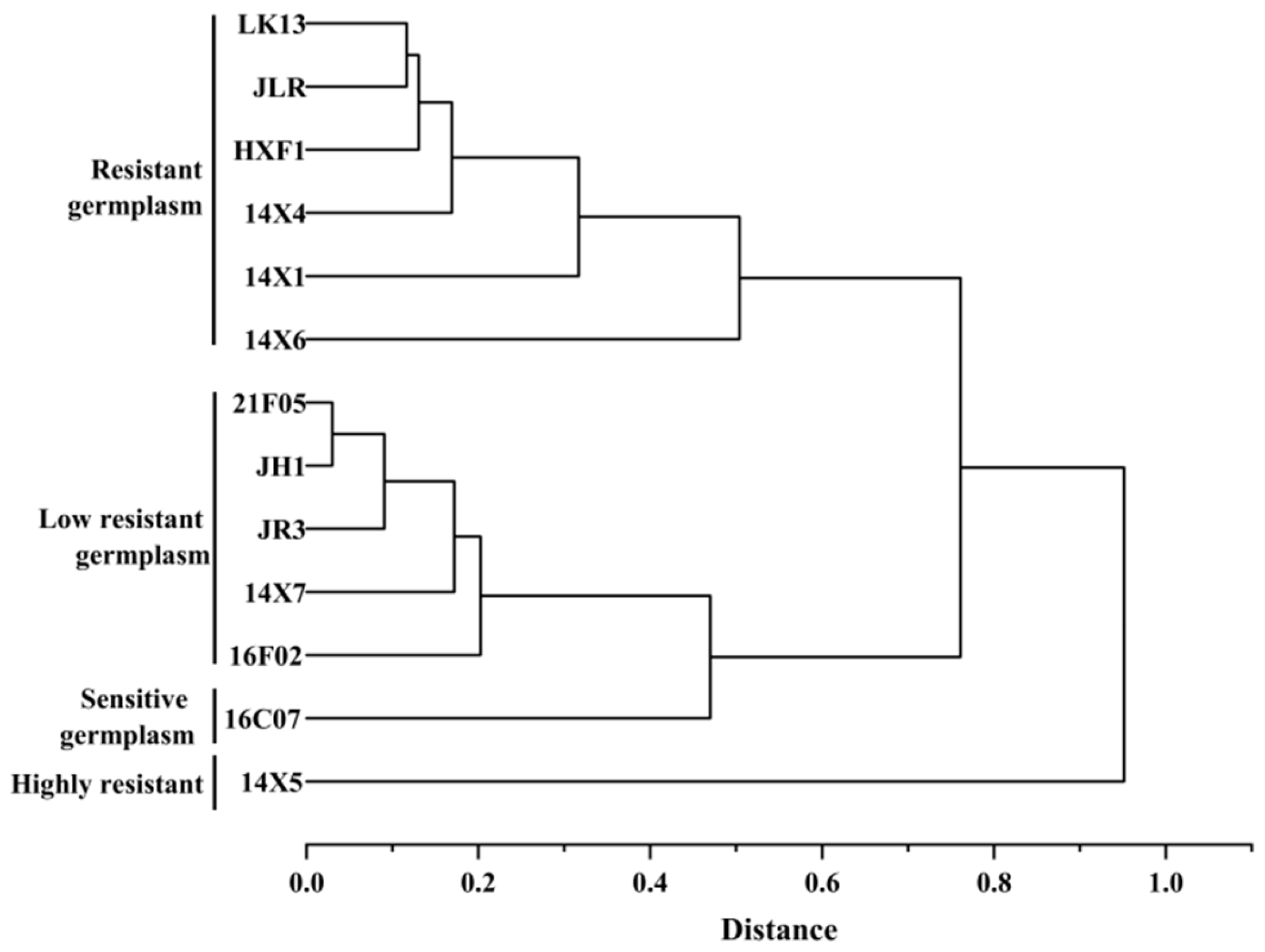 Plants 14 01289 g011