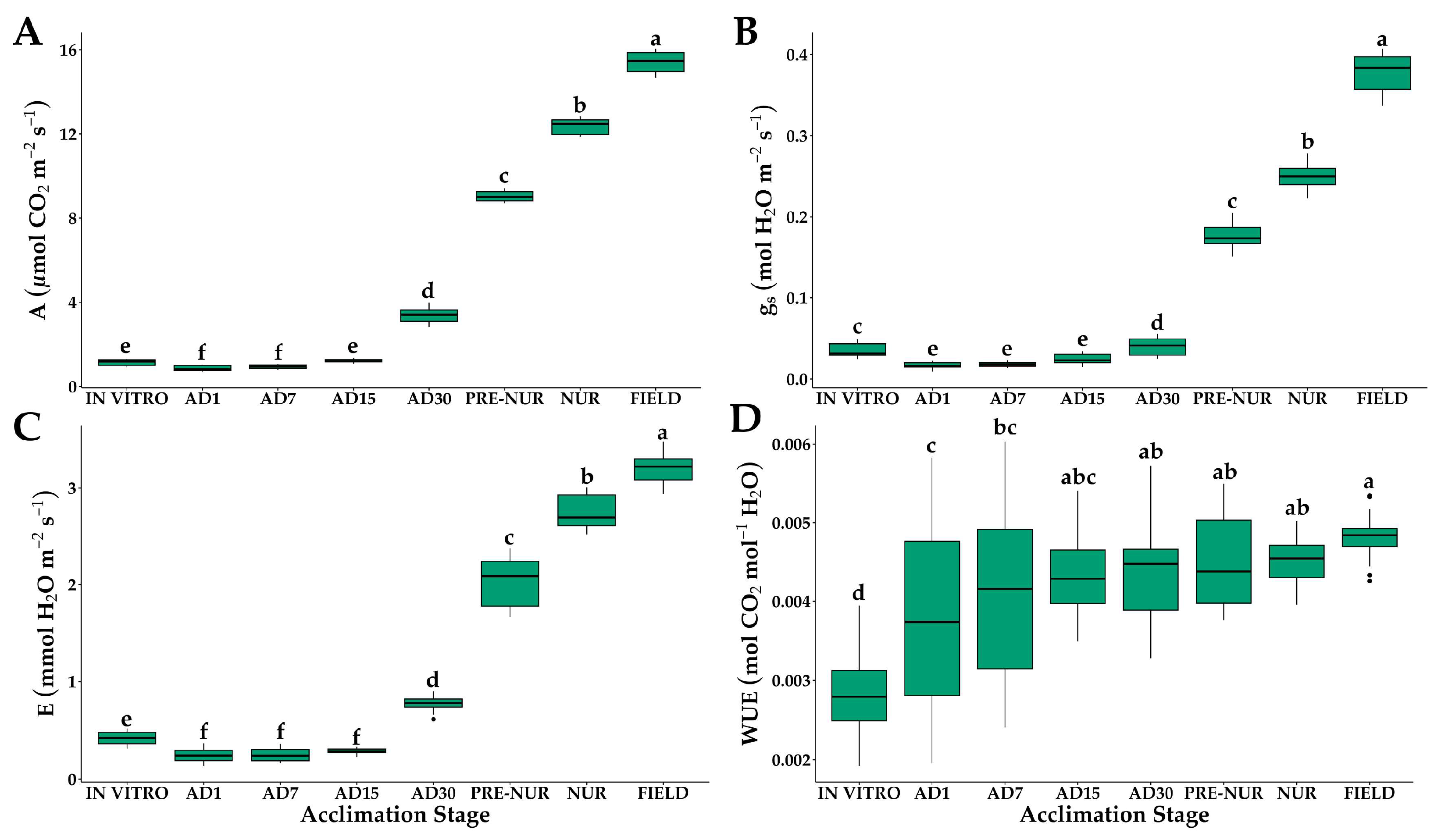 Plants 14 01299 g001