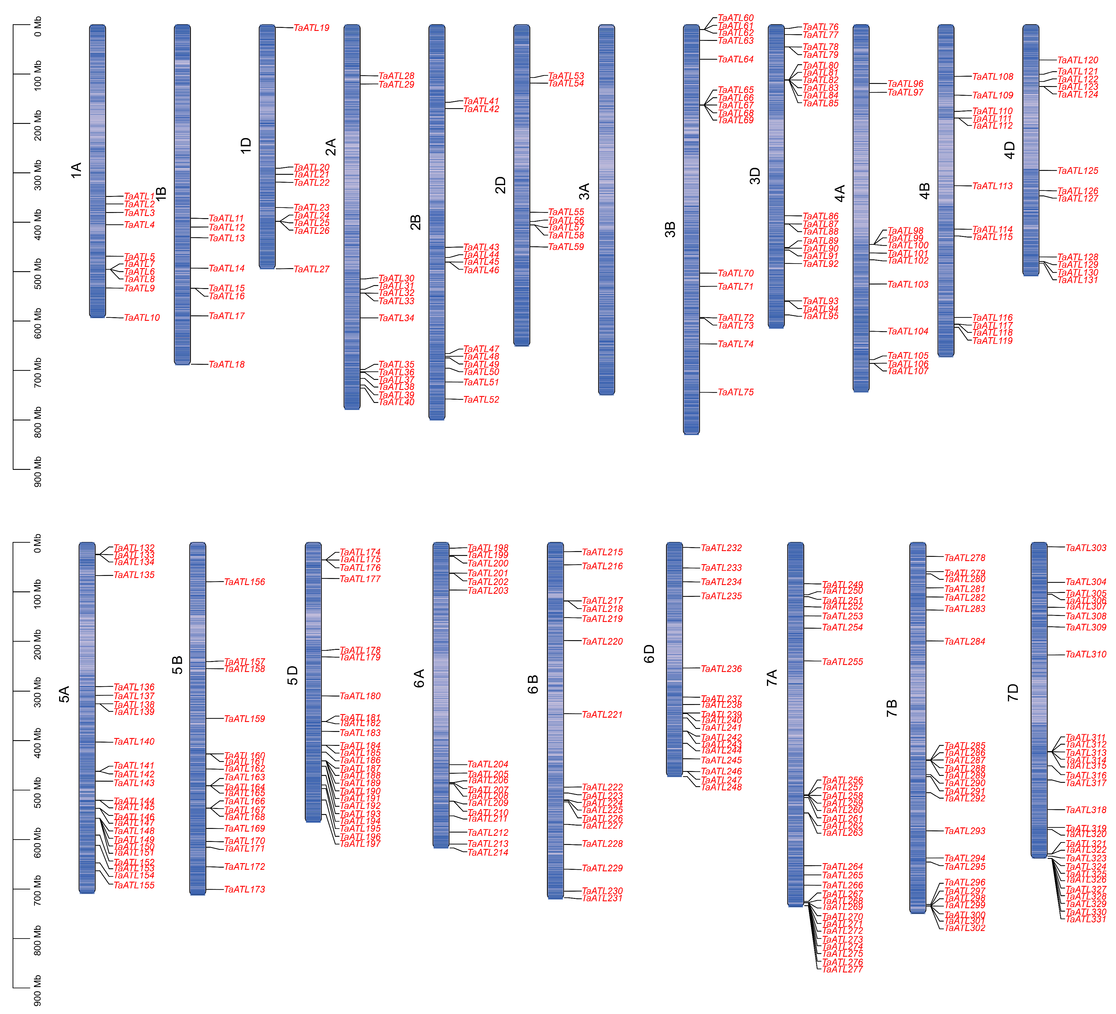 Plants 14 01306 g001