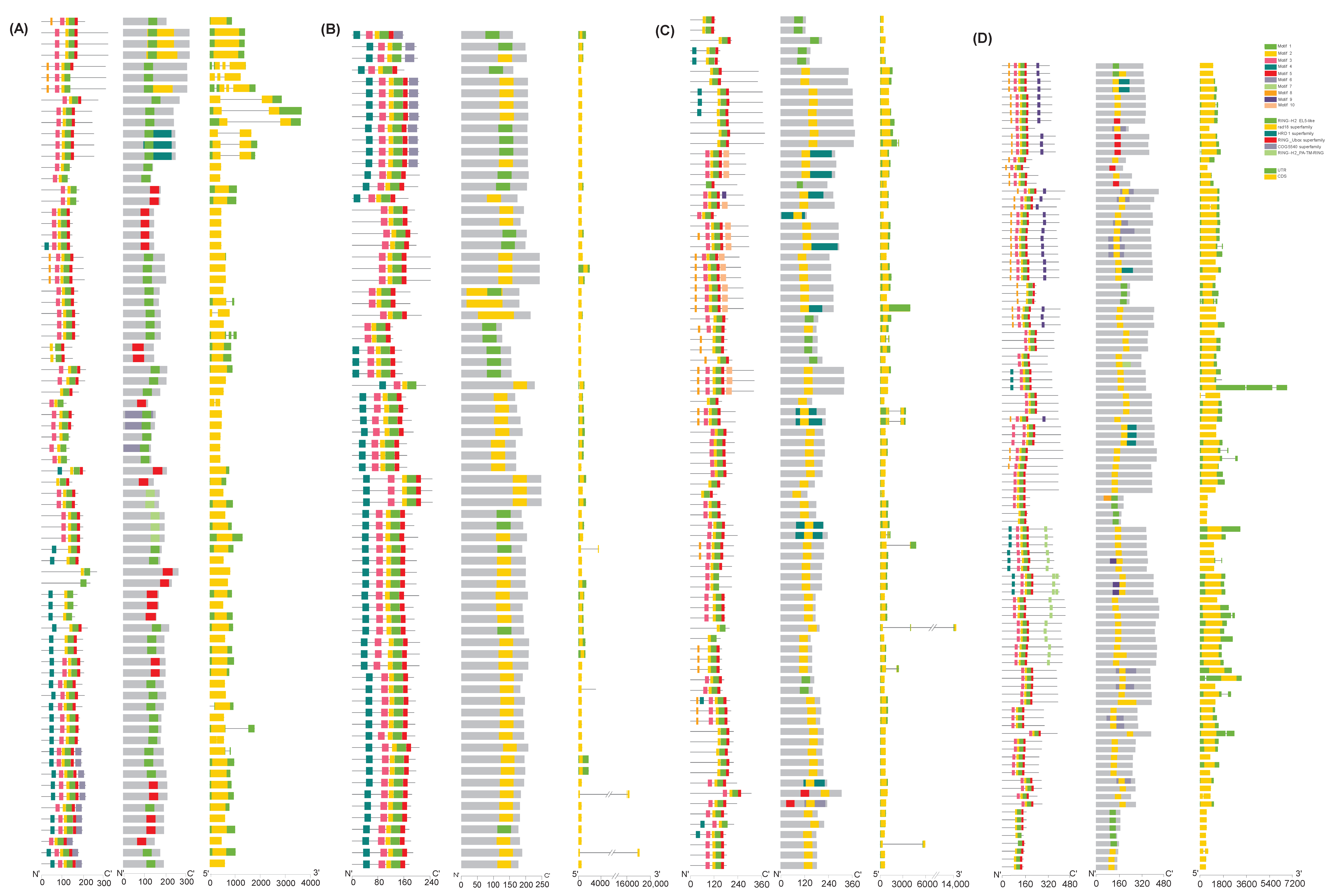 Plants 14 01306 g003