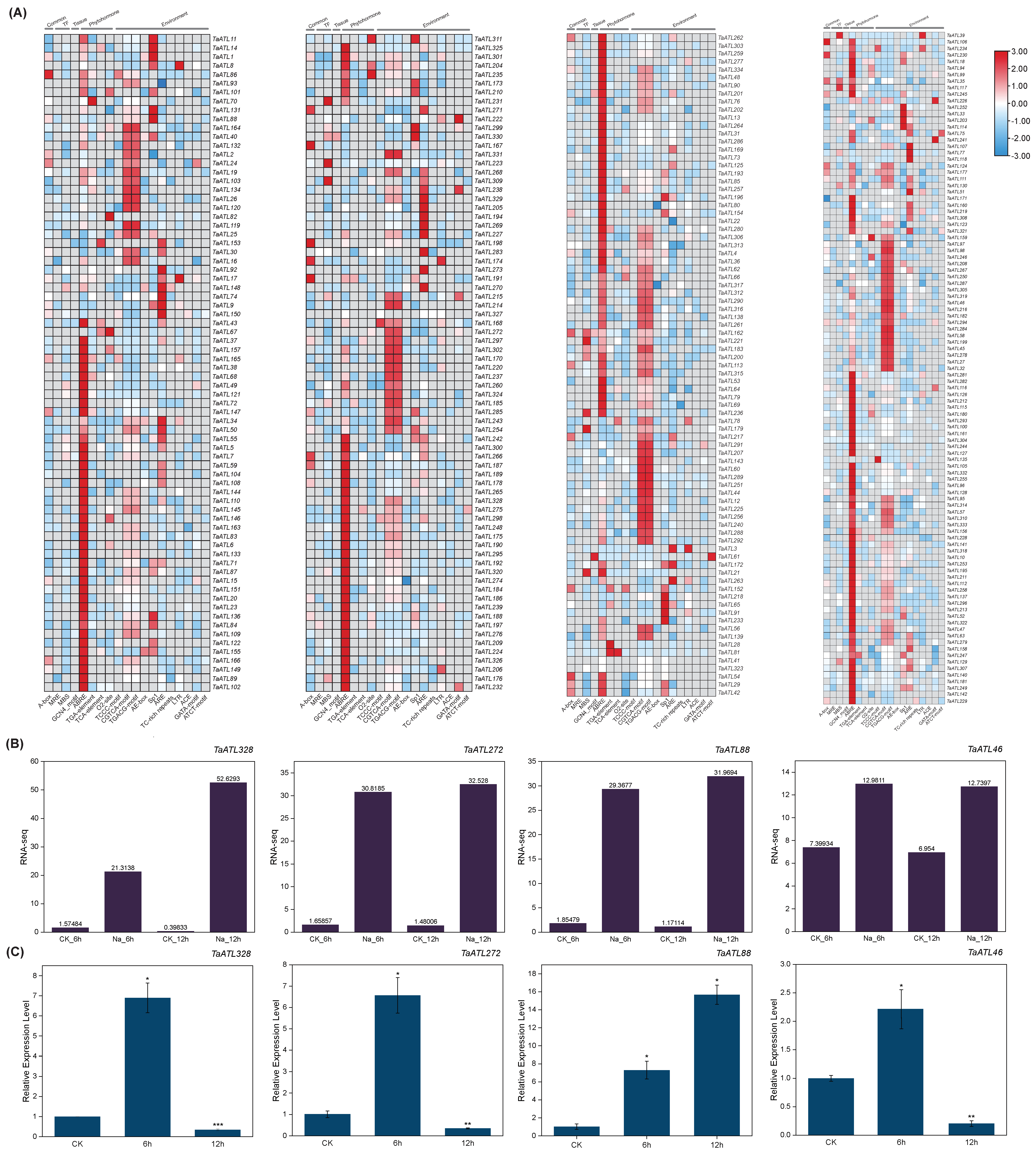 Plants 14 01306 g007