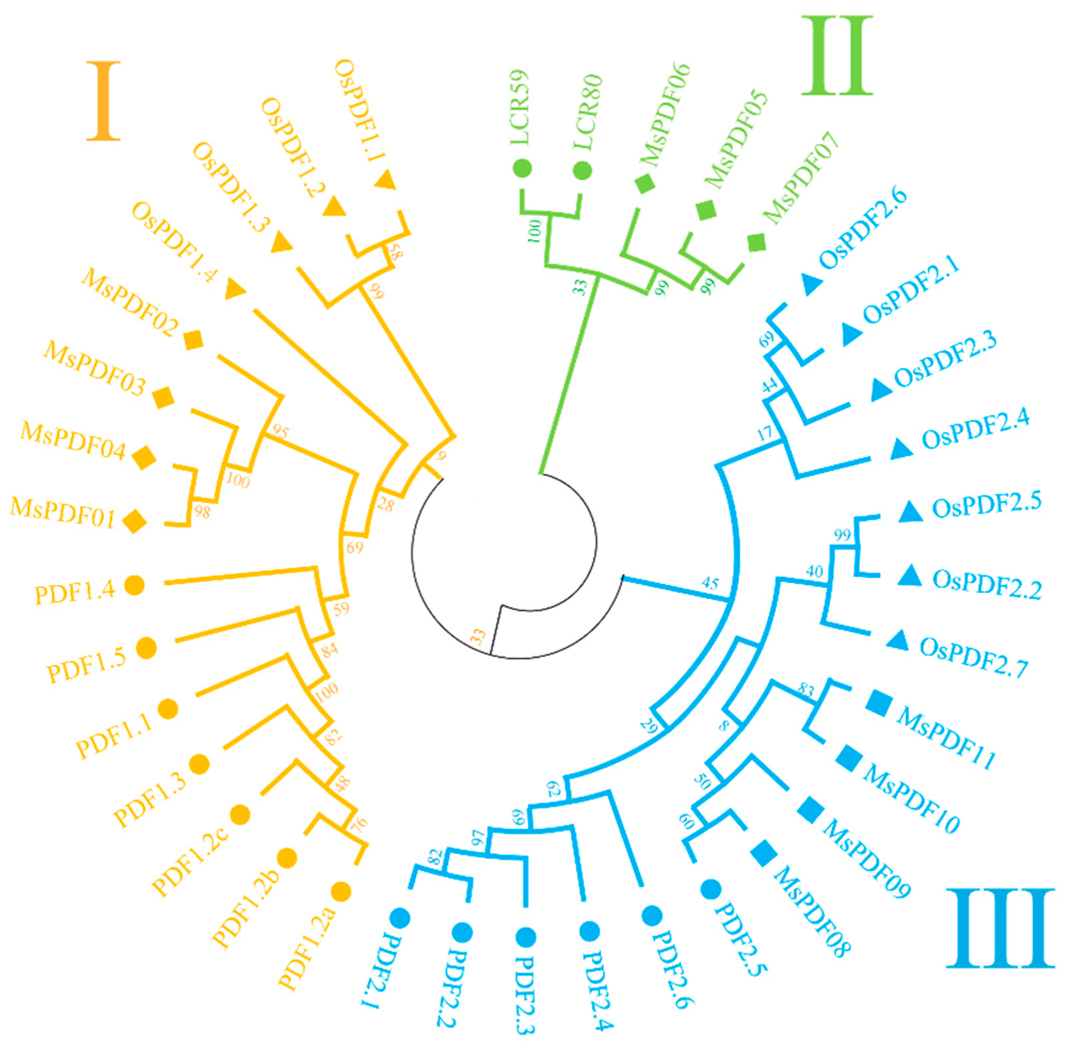 Plants 14 01312 g001