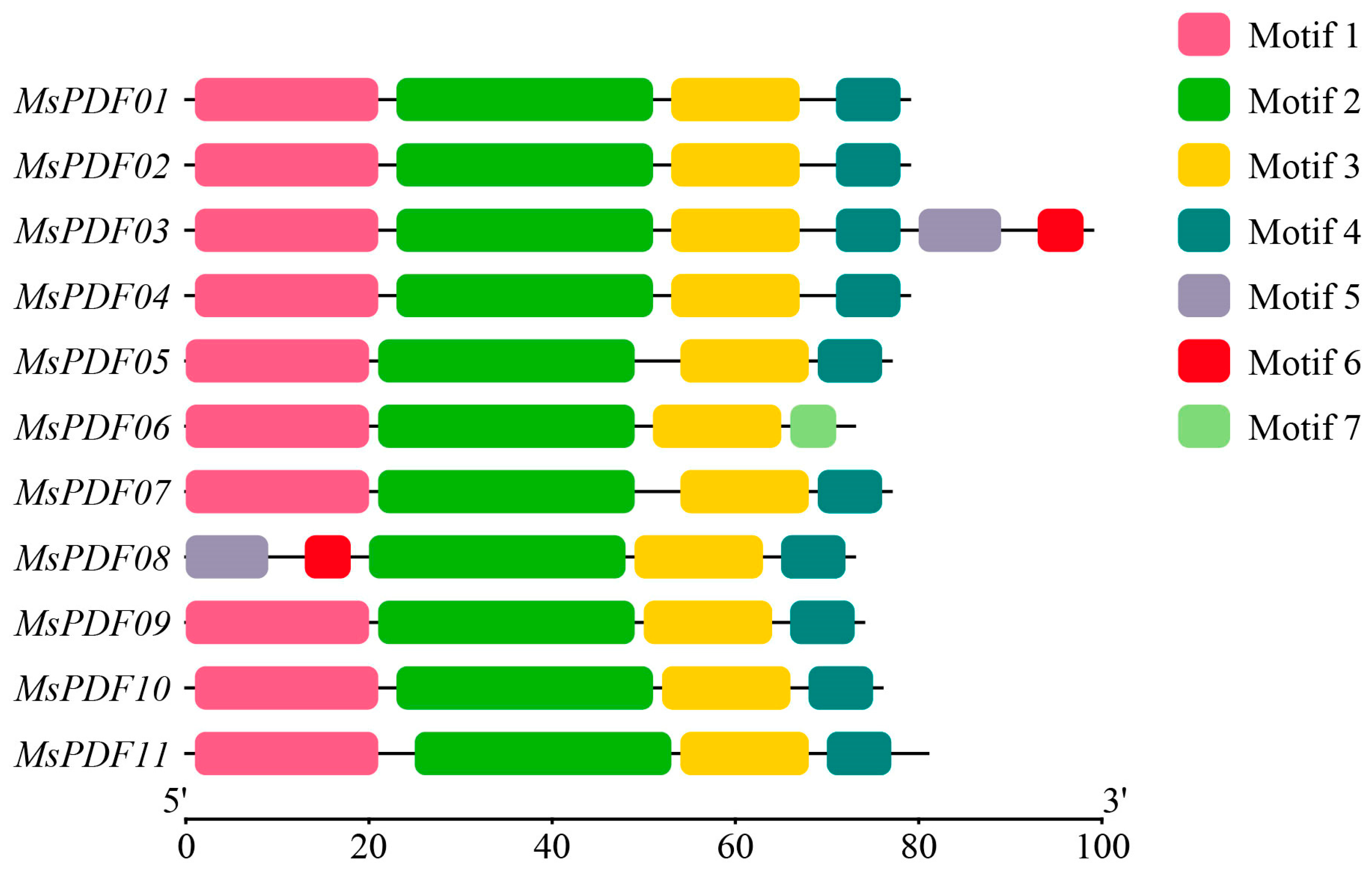 Plants 14 01312 g002