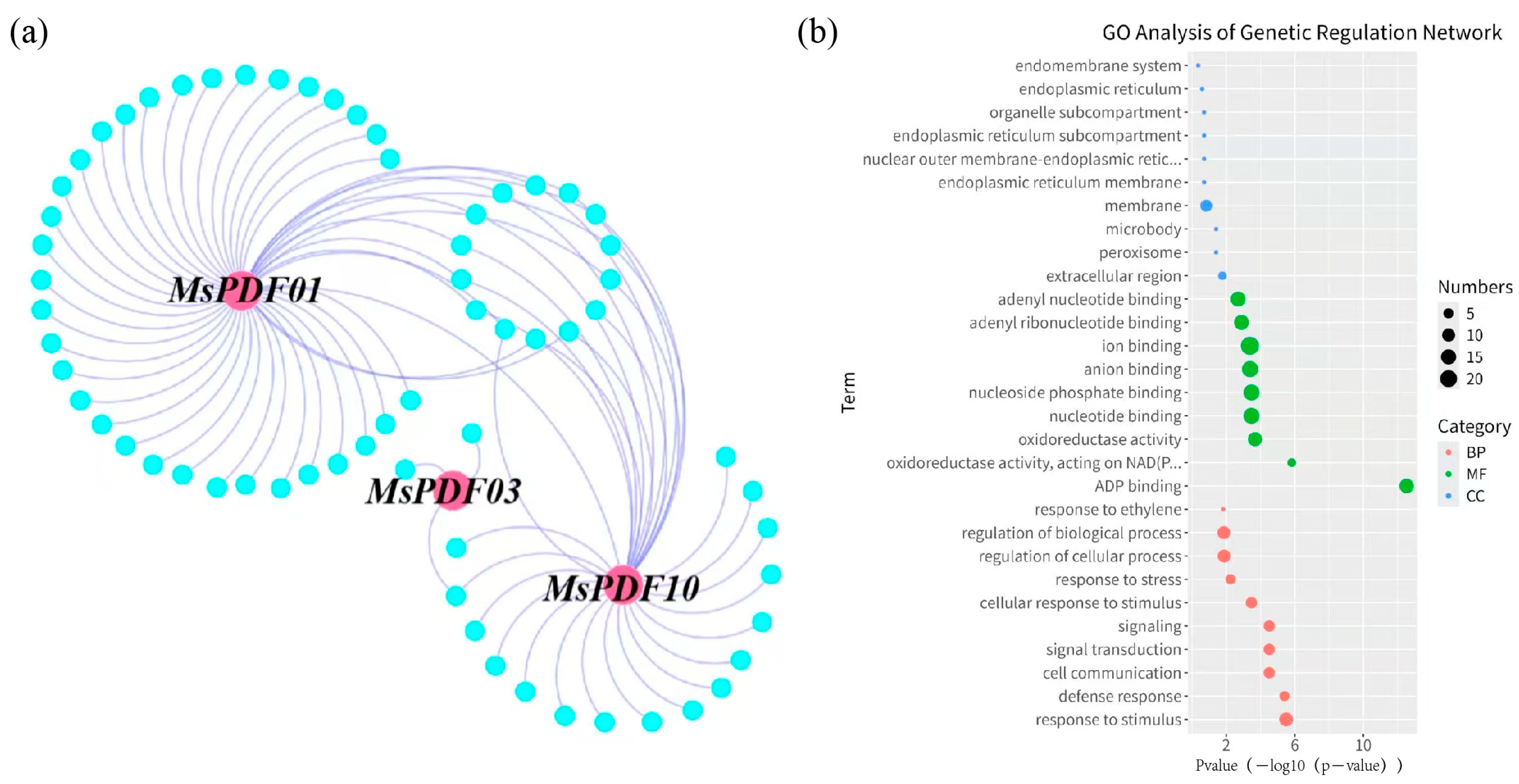 Plants 14 01312 g004