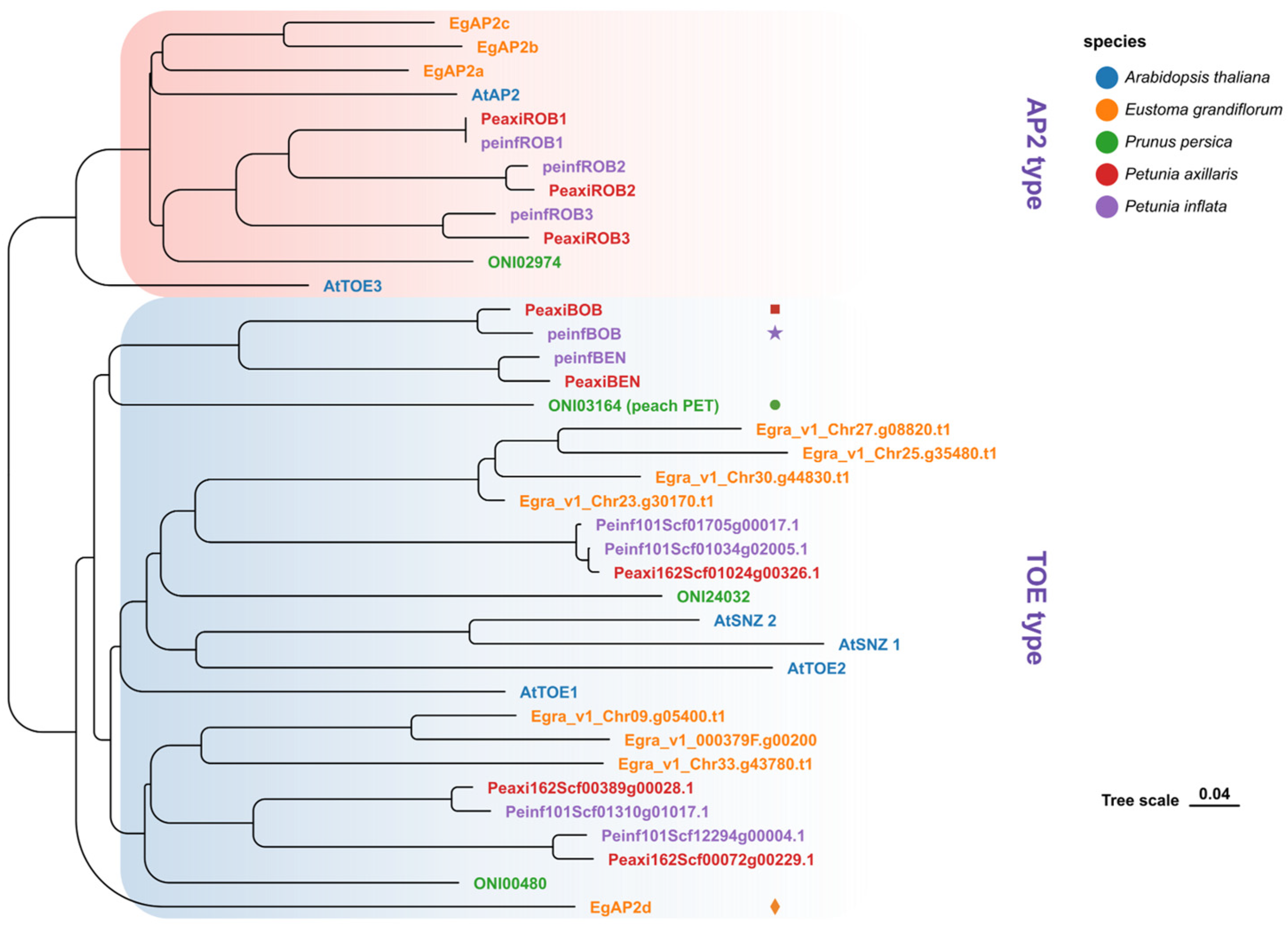 Plants 14 01314 g004