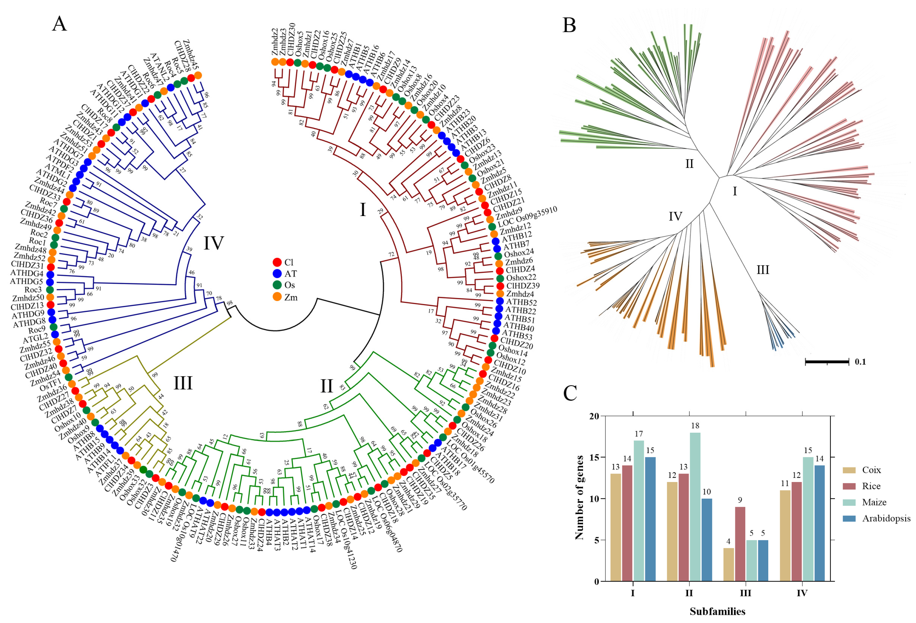 Plants 14 01318 g001