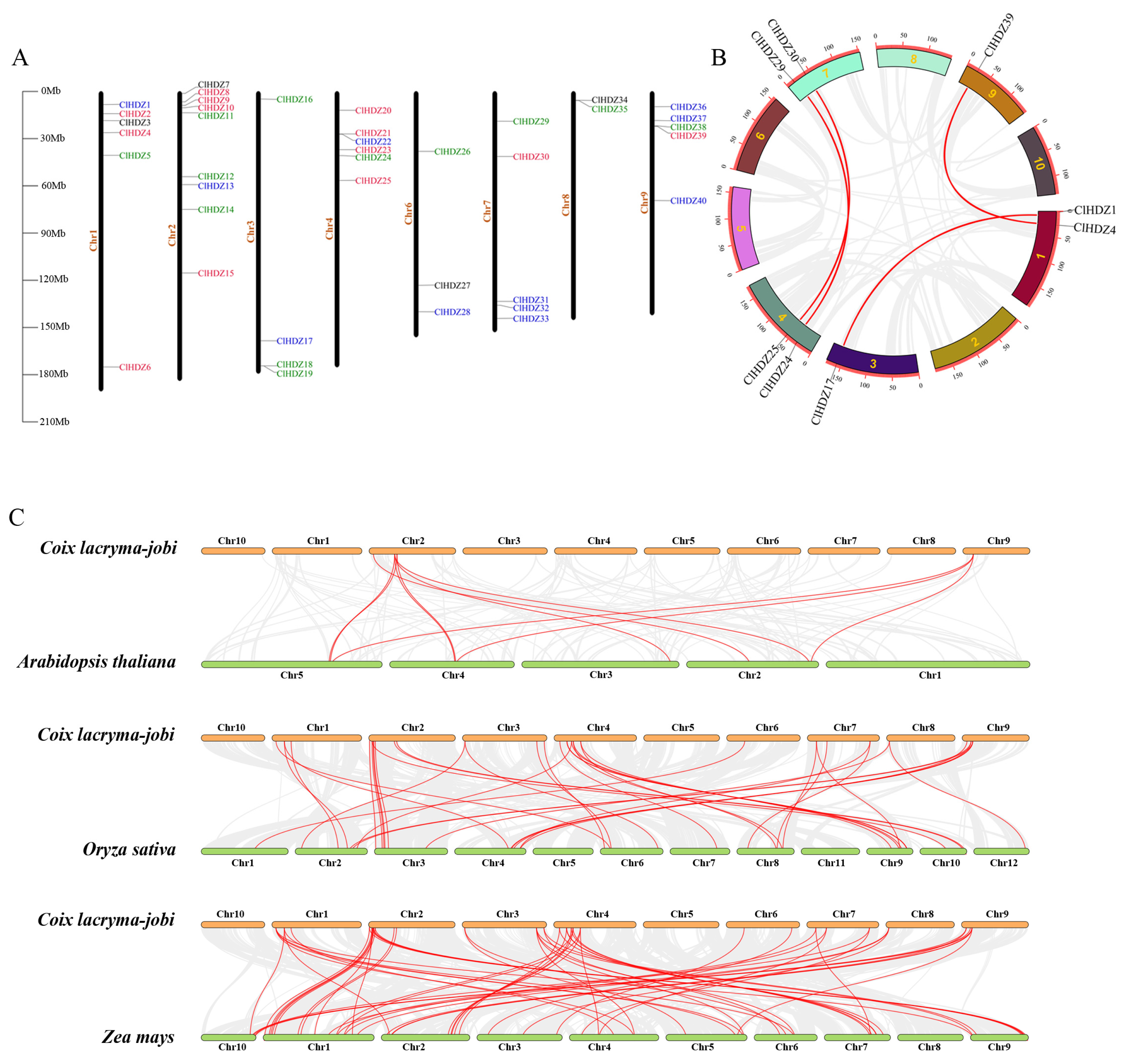 Plants 14 01318 g003