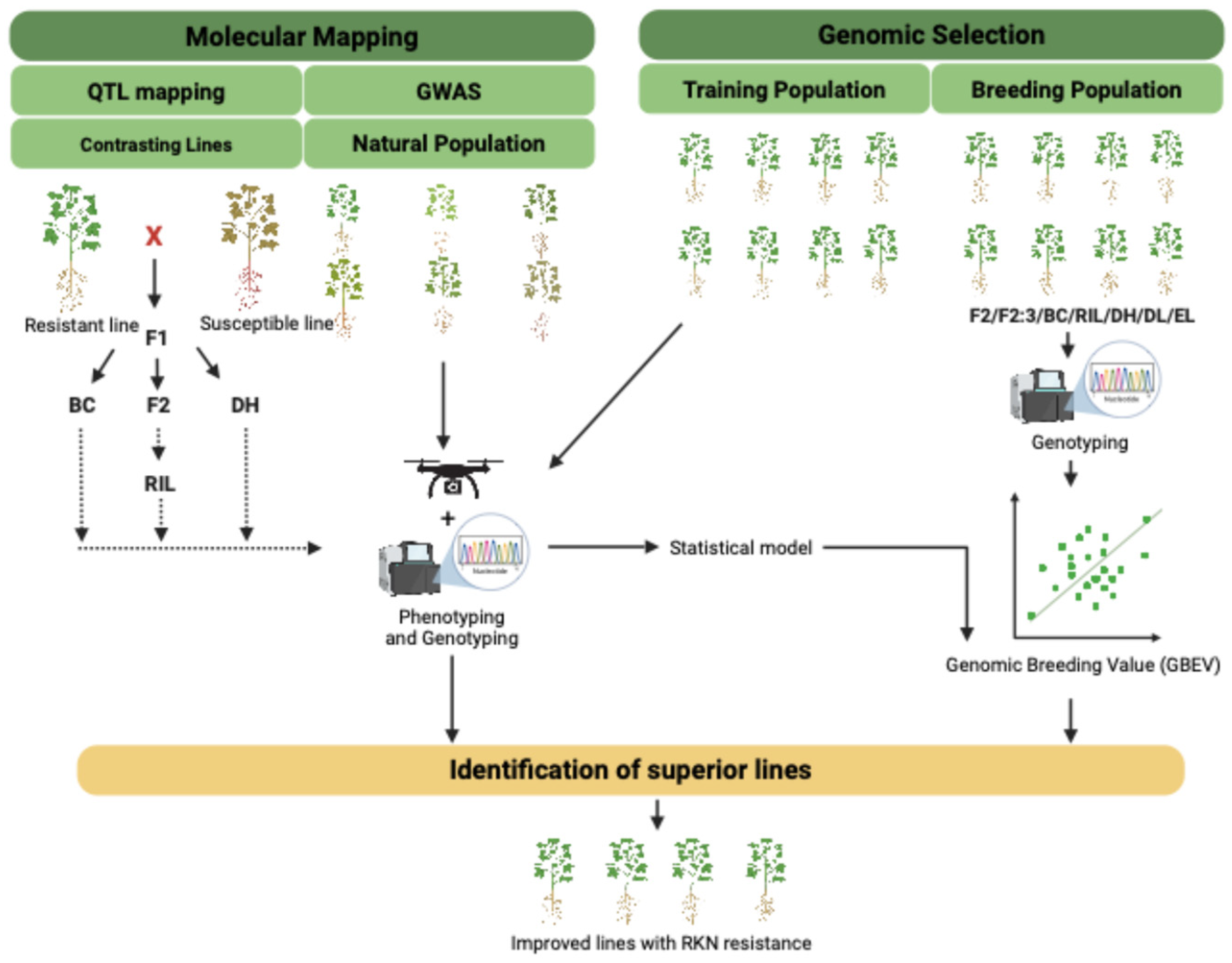 Plants 14 01321 g003