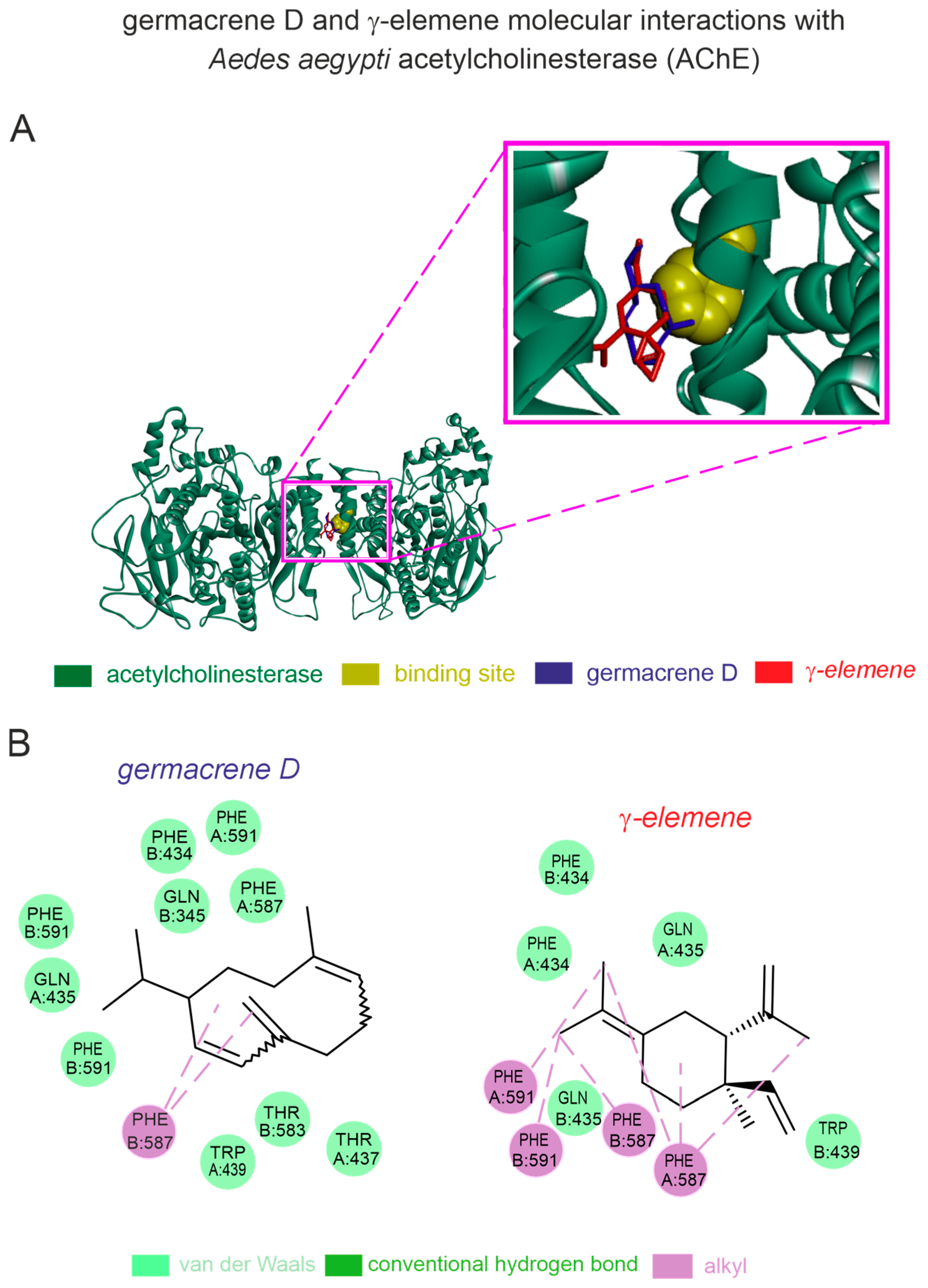 Plants 14 01322 g004