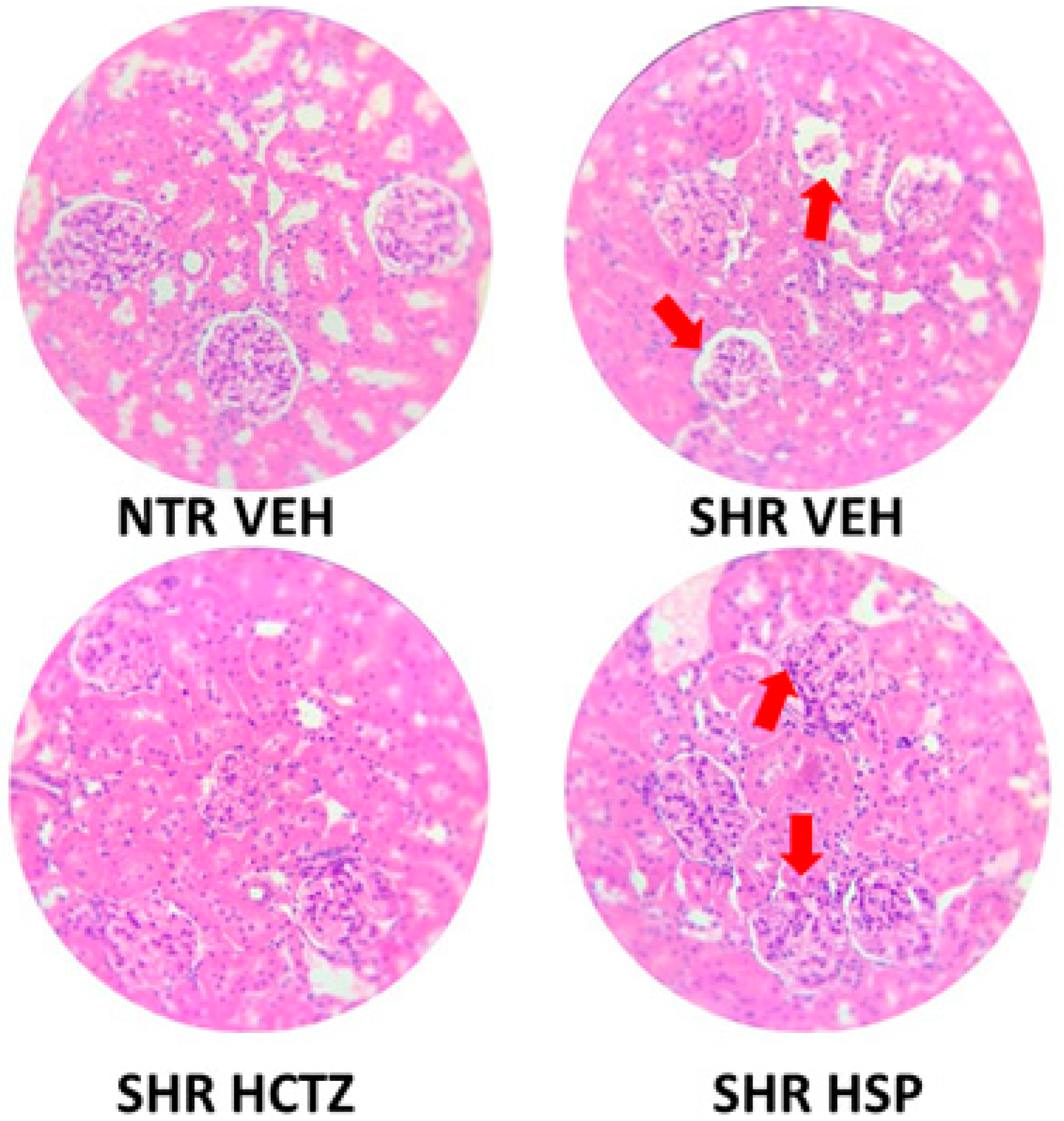 Plants 14 01324 g006