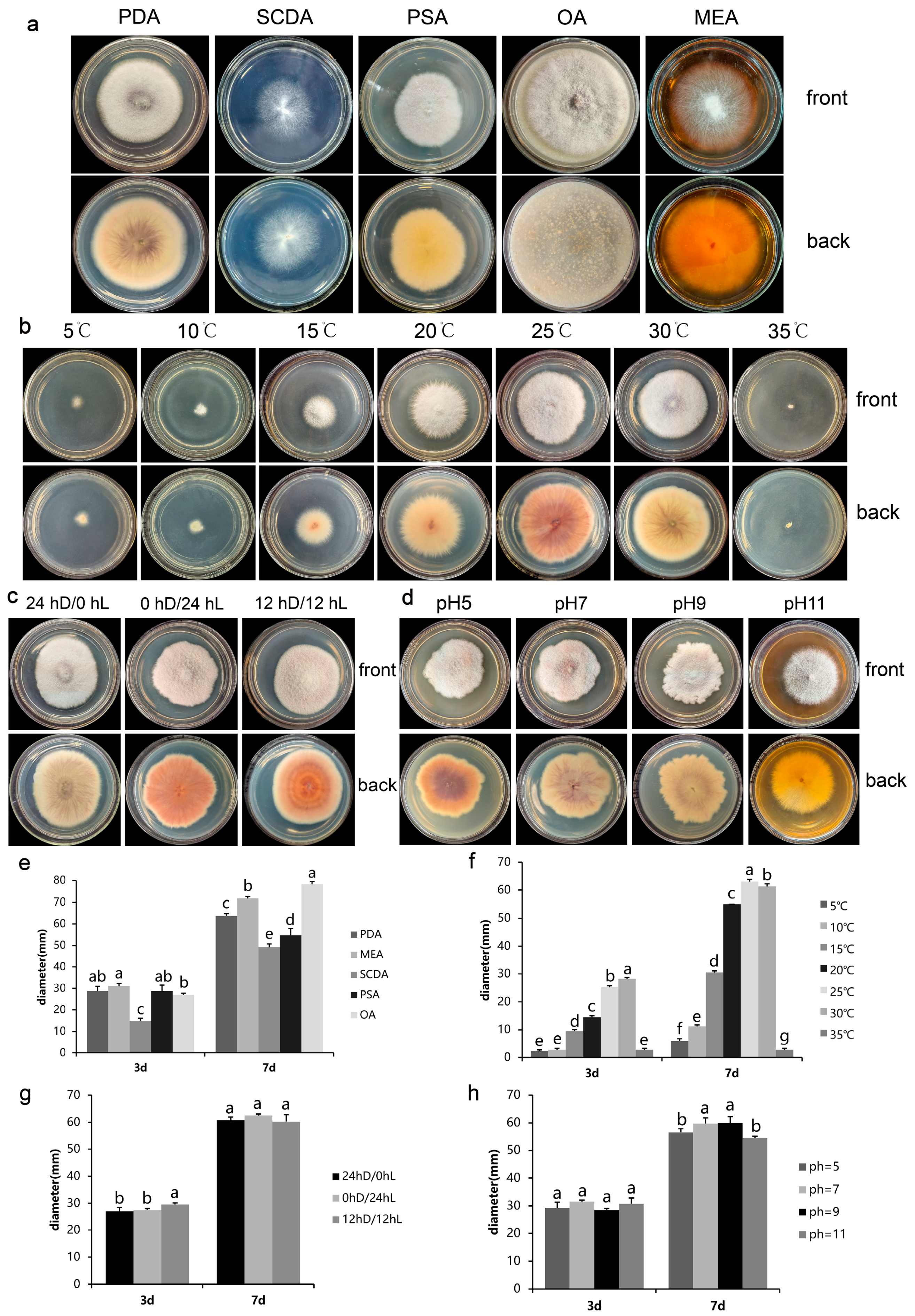 Plants 14 01480 g005